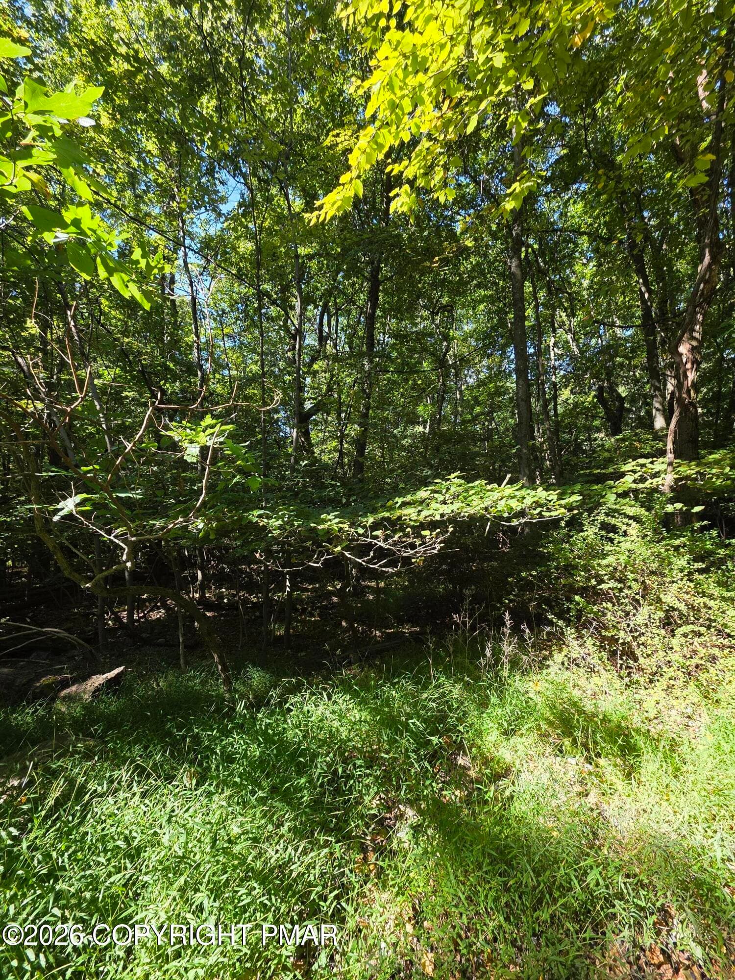 20260924_110238 - 421 Donalds Road, Effort, PA 18330