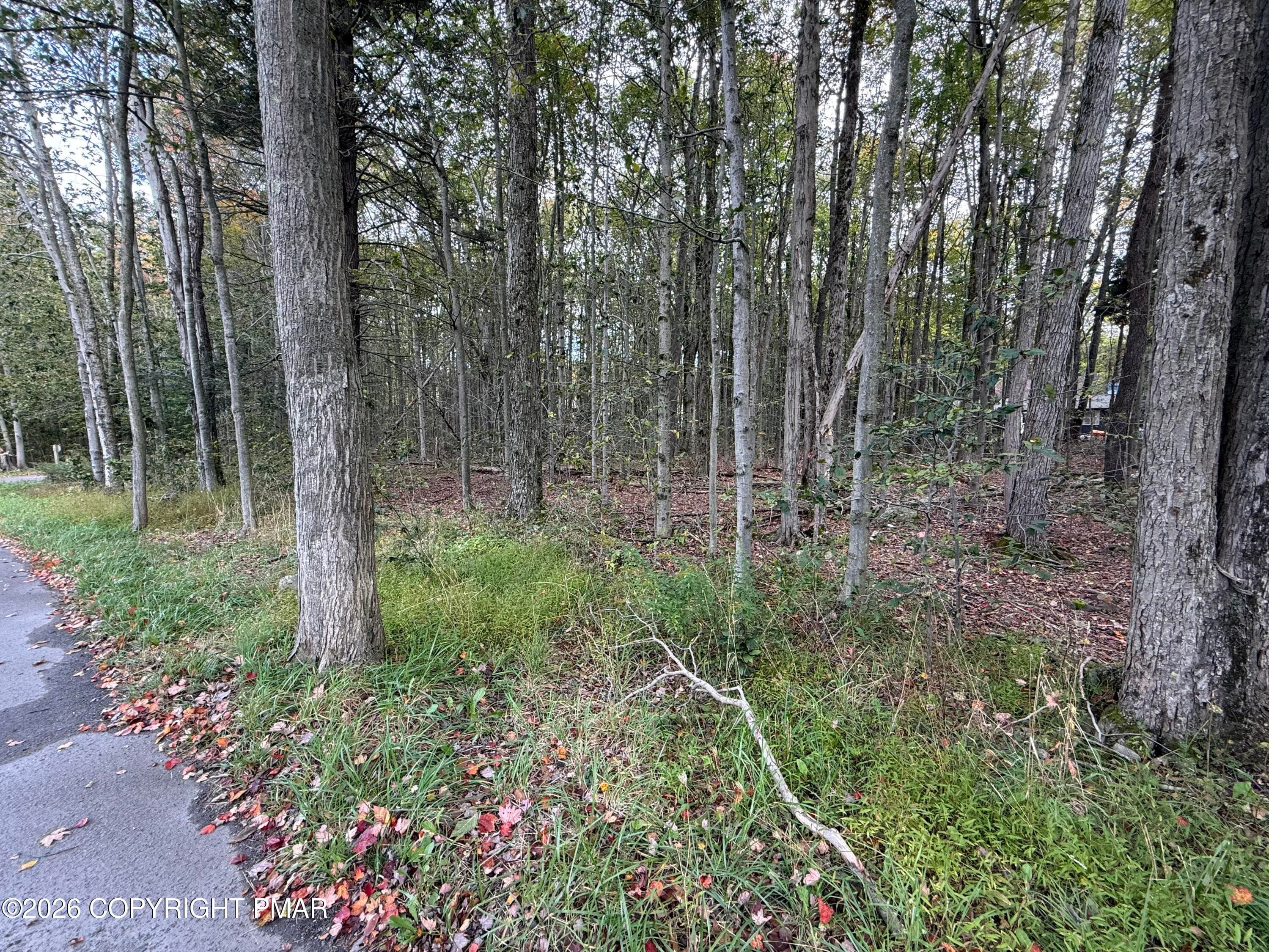 GROSS DR 1 - 1168 Gross Drive W, Pocono Pines, PA 18350