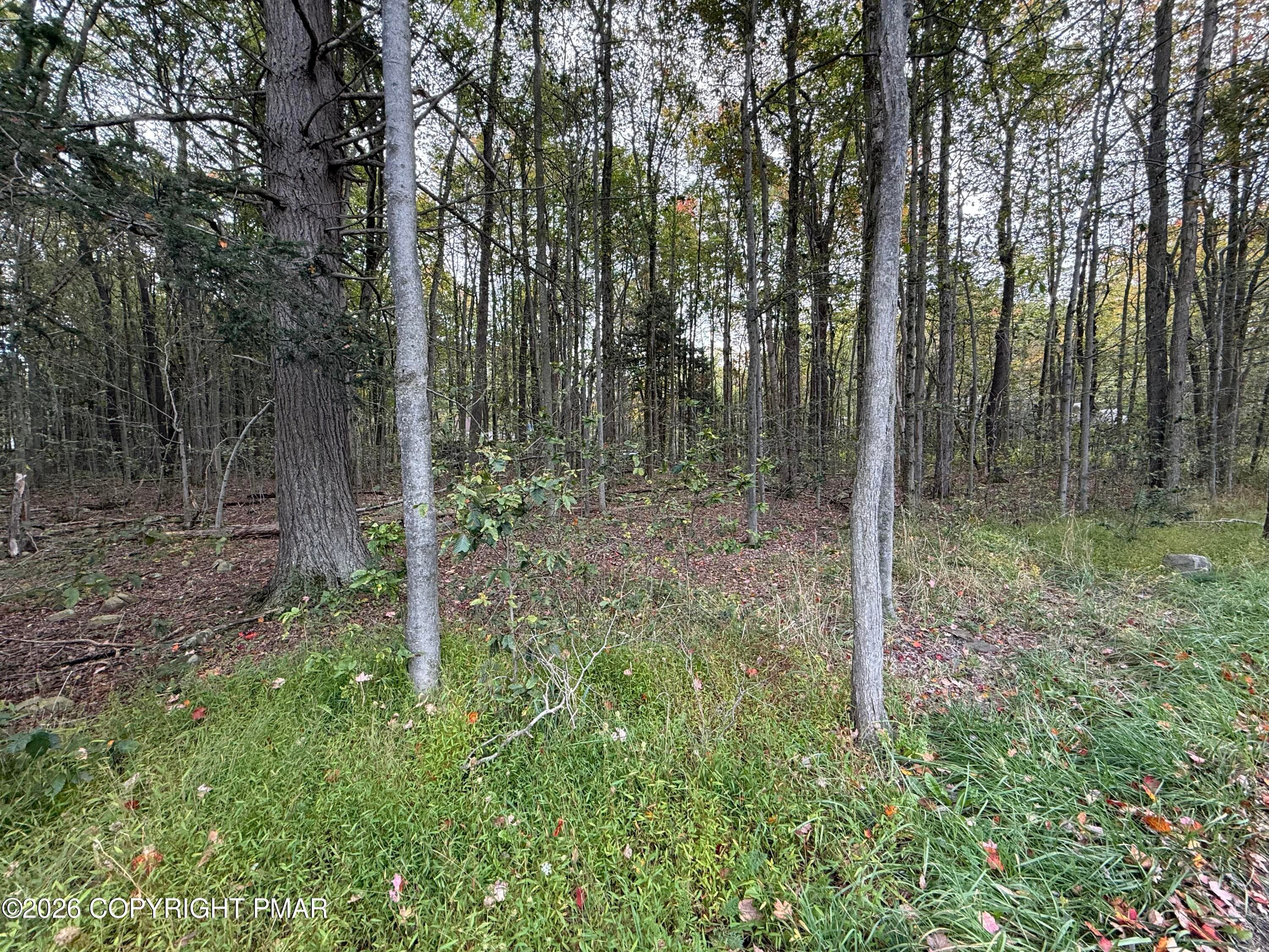 GROSS DR 2 - 1168 Gross Drive W, Pocono Pines, PA 18350