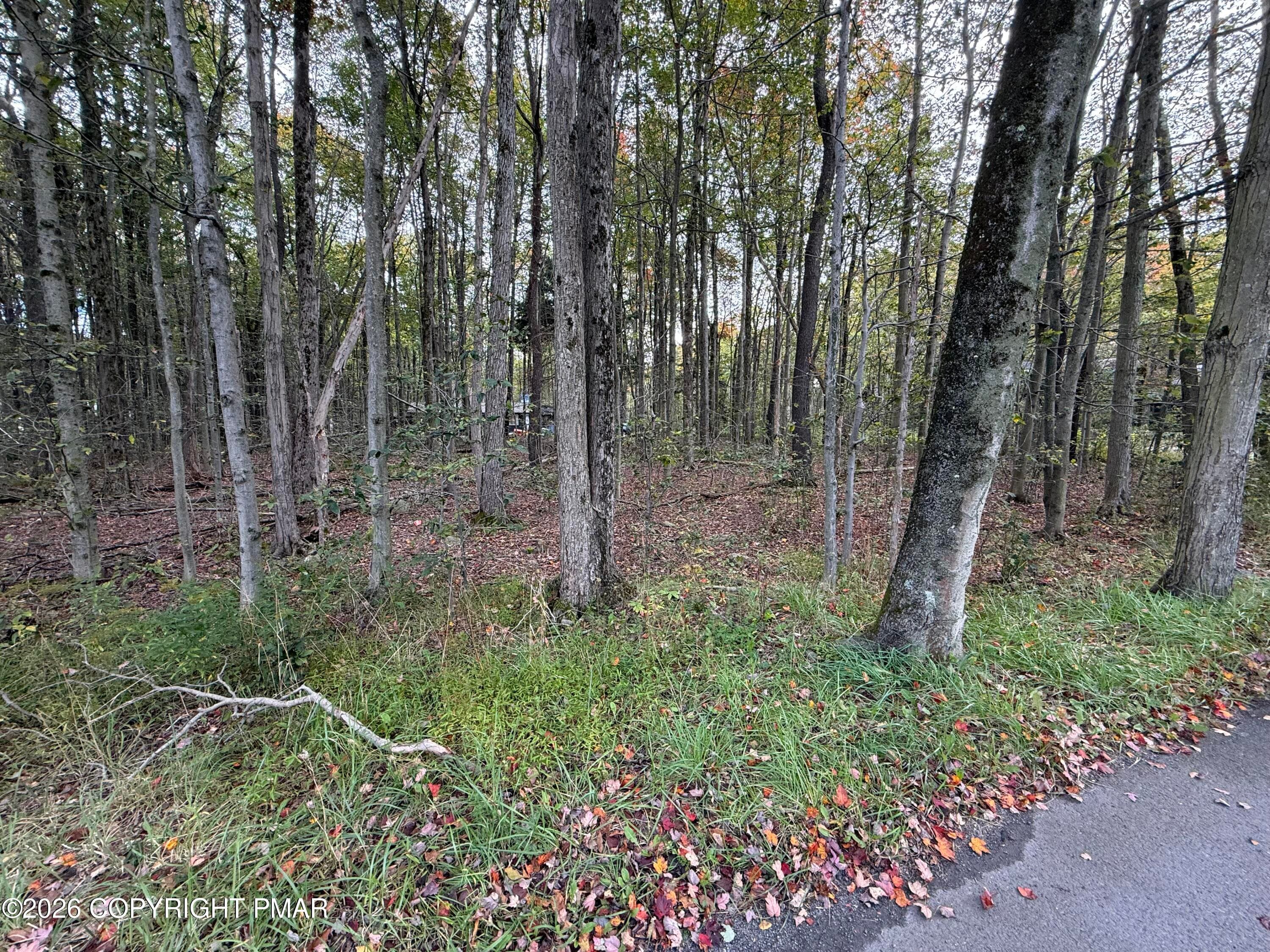 GROSS DR 3 - 1168 Gross Drive W, Pocono Pines, PA 18350