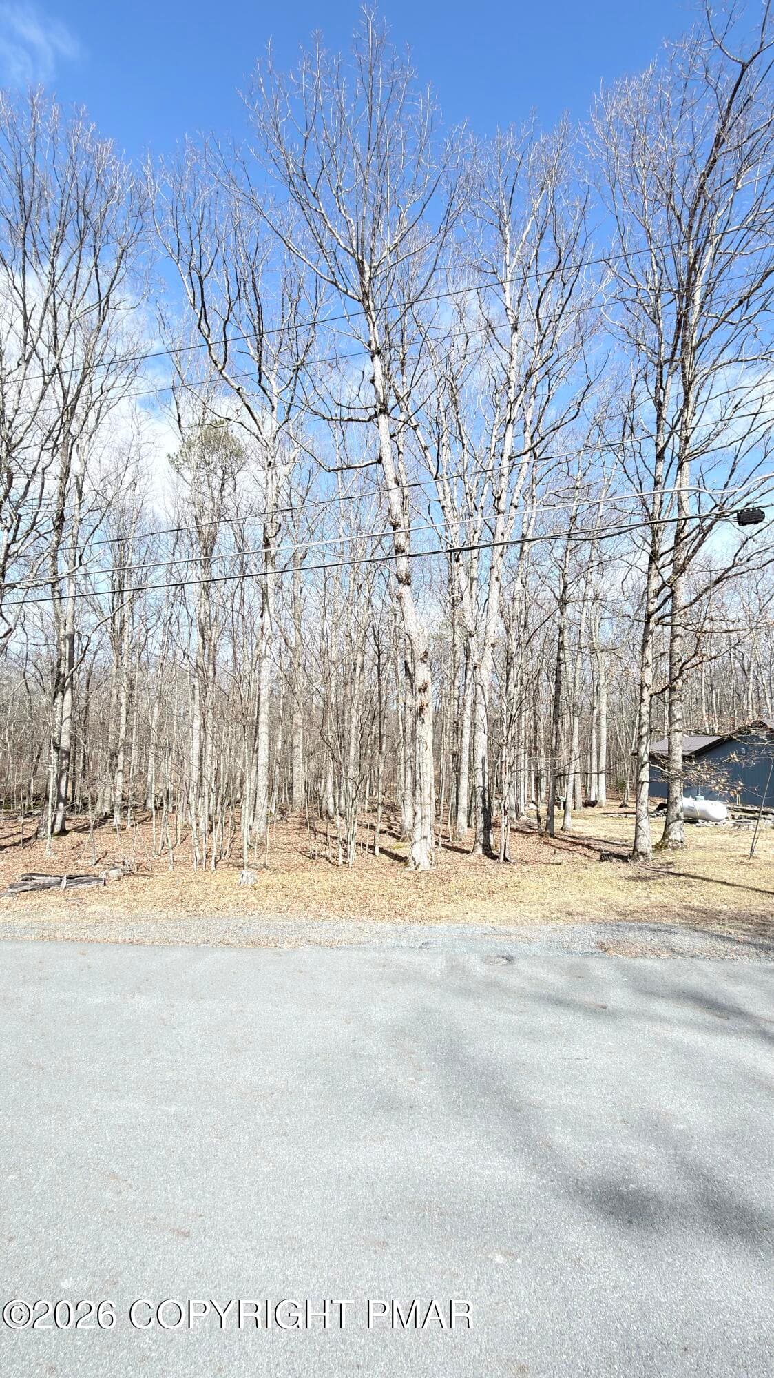IMG_5528 - White Tail Circle, lot 154 sec 7, Lackawaxen, PA 18435, Lackawaxen