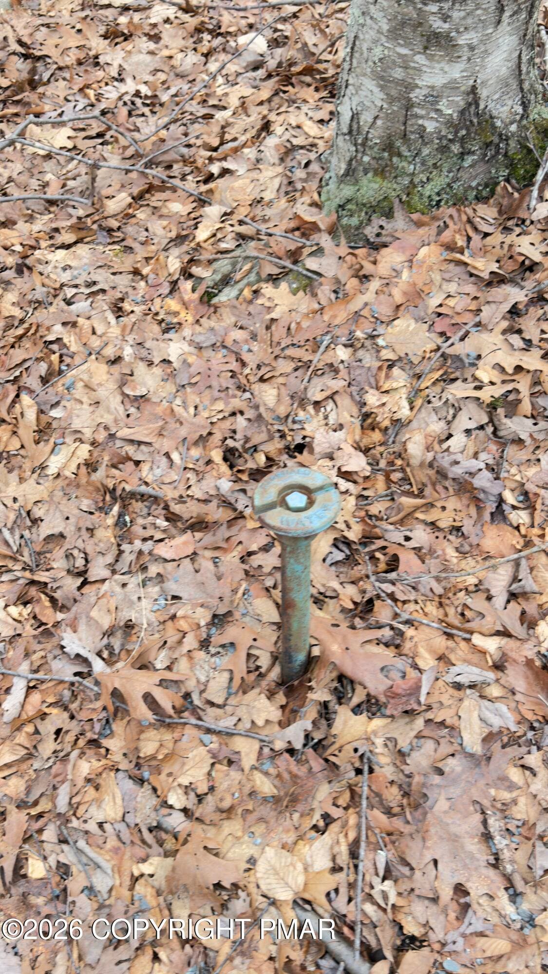 IMG_5657 - upper lakeview Drive, Lot 114 sec 9, Lackawaxen, PA 18435, Lackawaxen