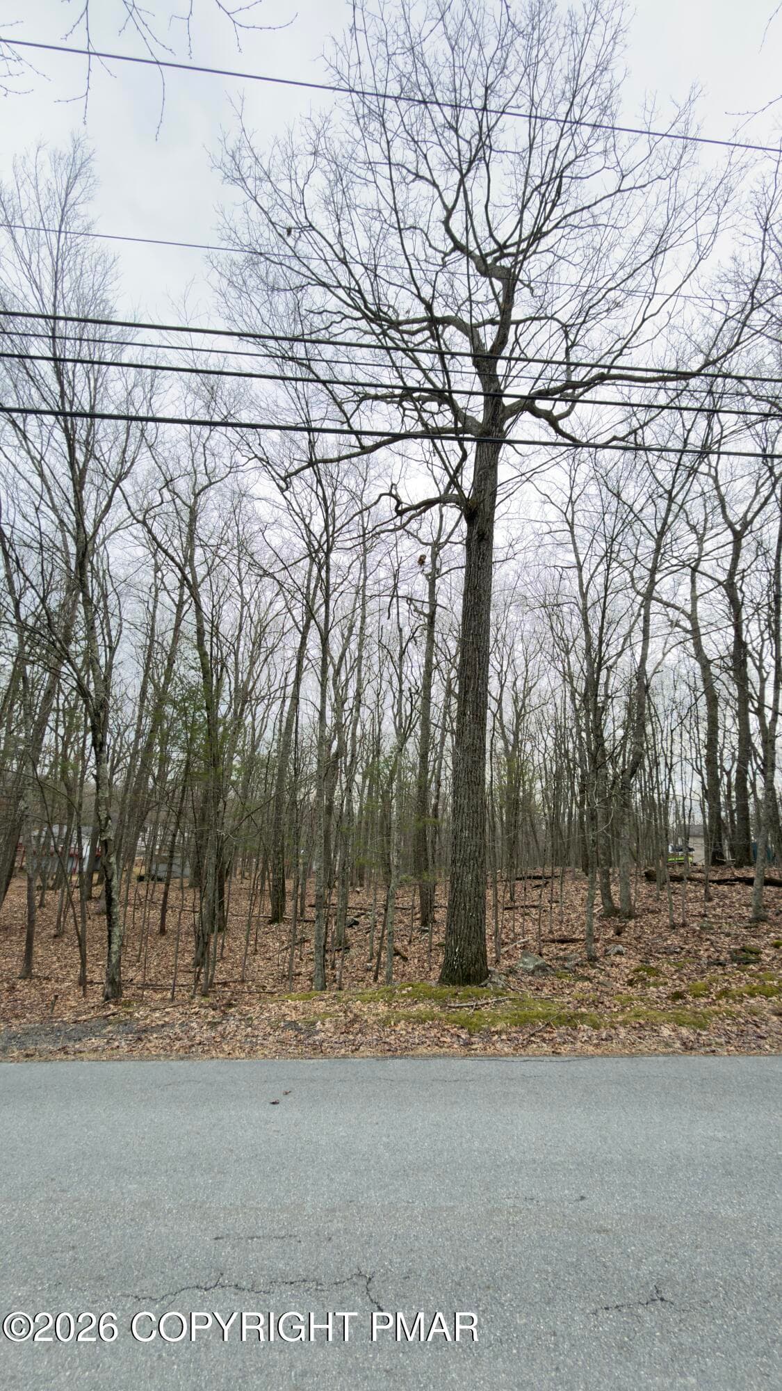 IMG_5661 - upper lakeview Drive, Lot 114 sec 9, Lackawaxen, PA 18435, Lackawaxen