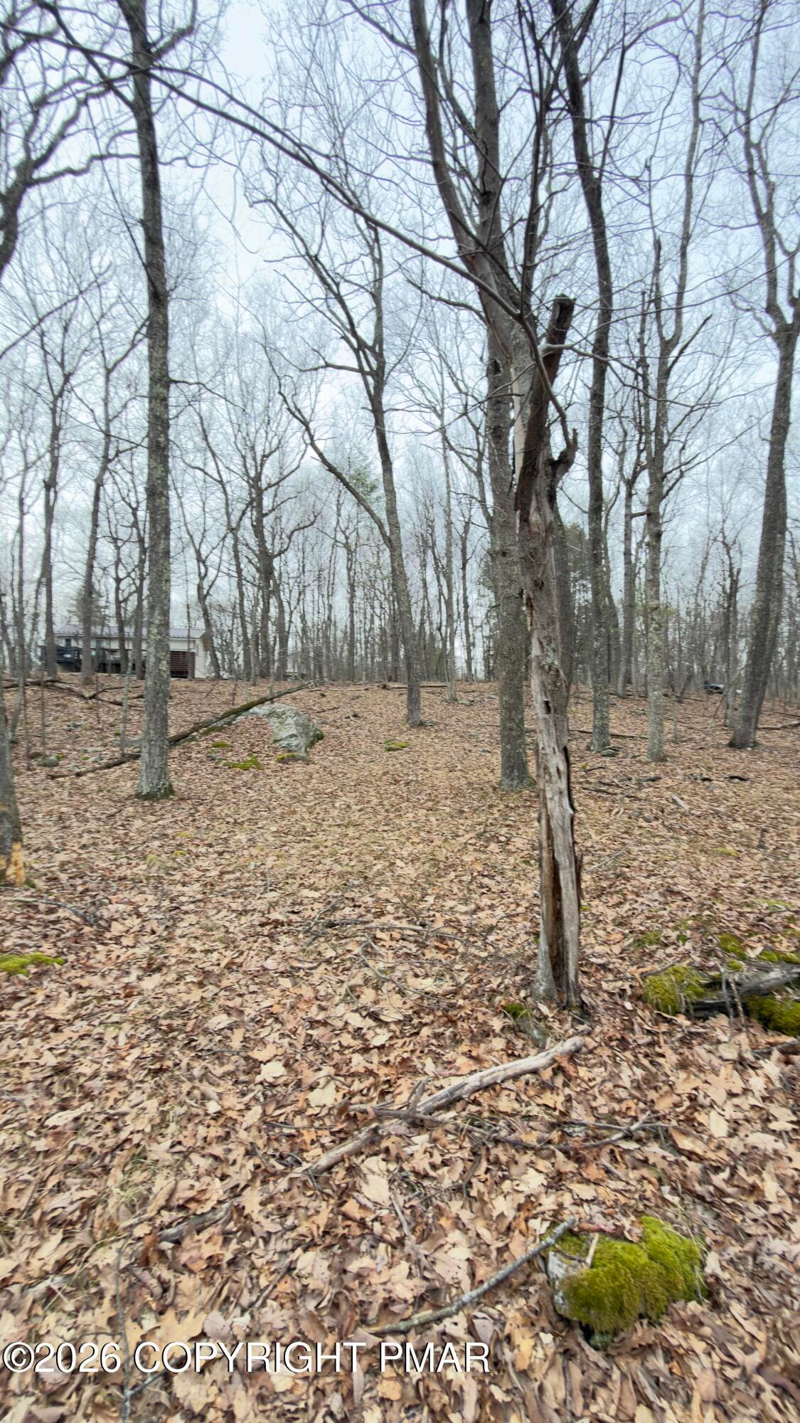 IMG_5672 - upper lakeview Drive, Lot 114 sec 9, Lackawaxen, PA 18435, Lackawaxen