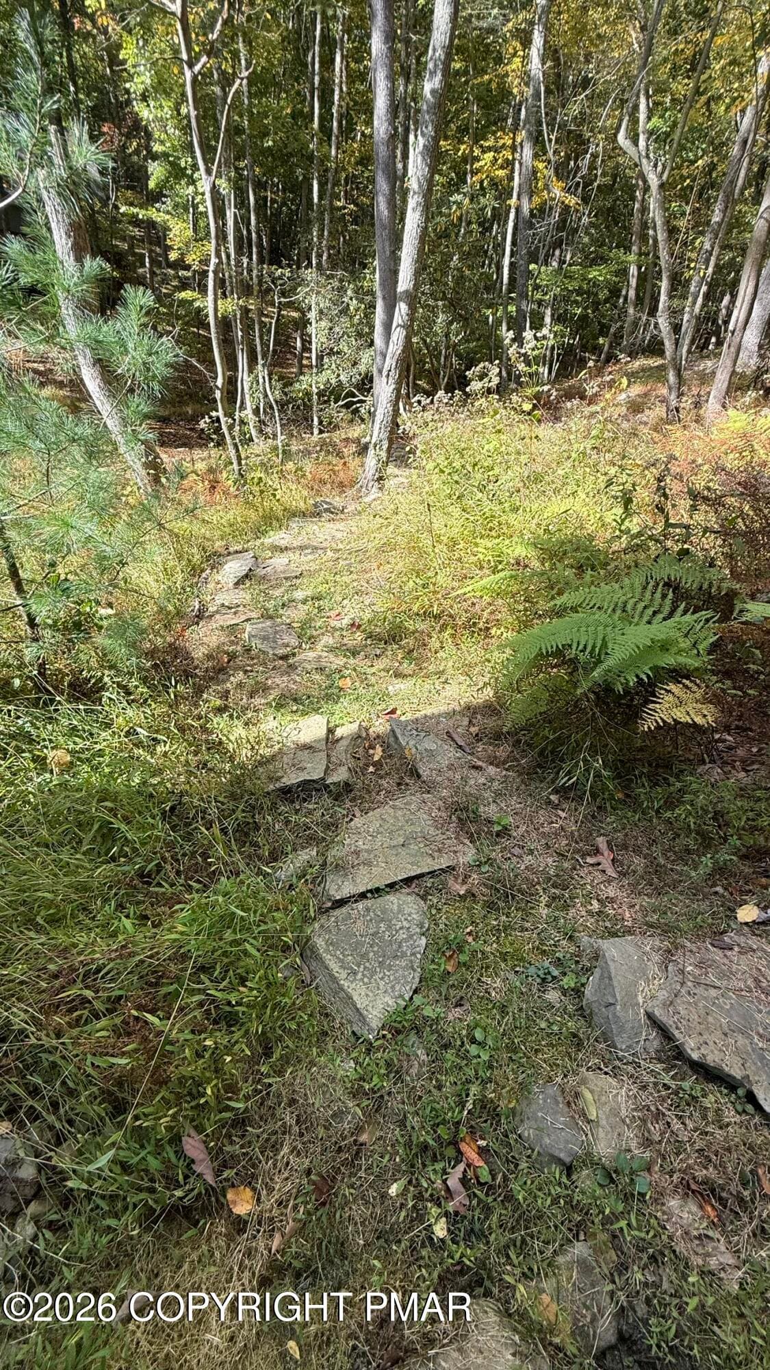 IMG_7702 - 300 Brentwood Drive, Bushkill, PA 18324, Bushkill