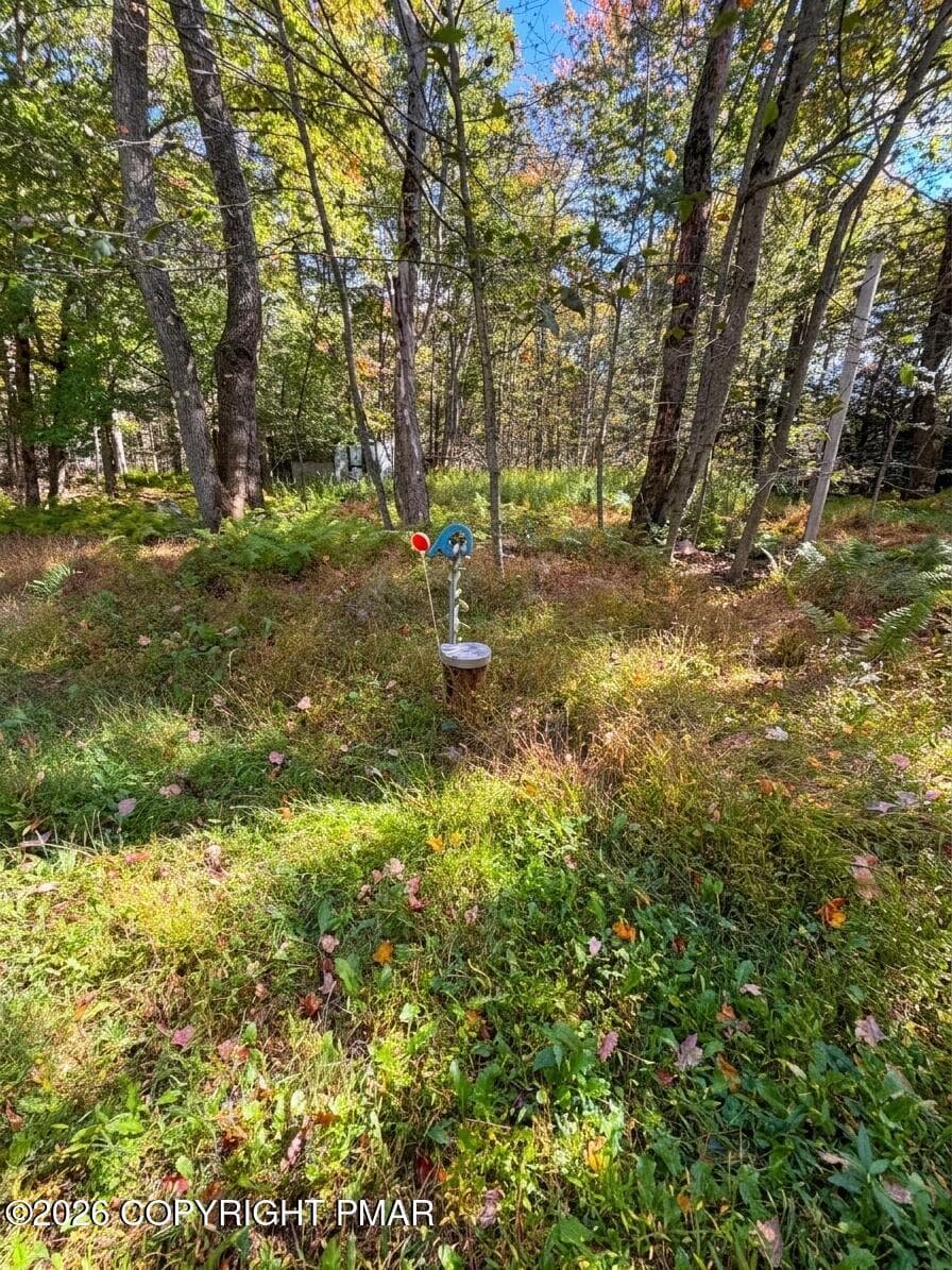 In-ground Well - 32 Peace Pipe Way, Gouldsboro, PA 18424
