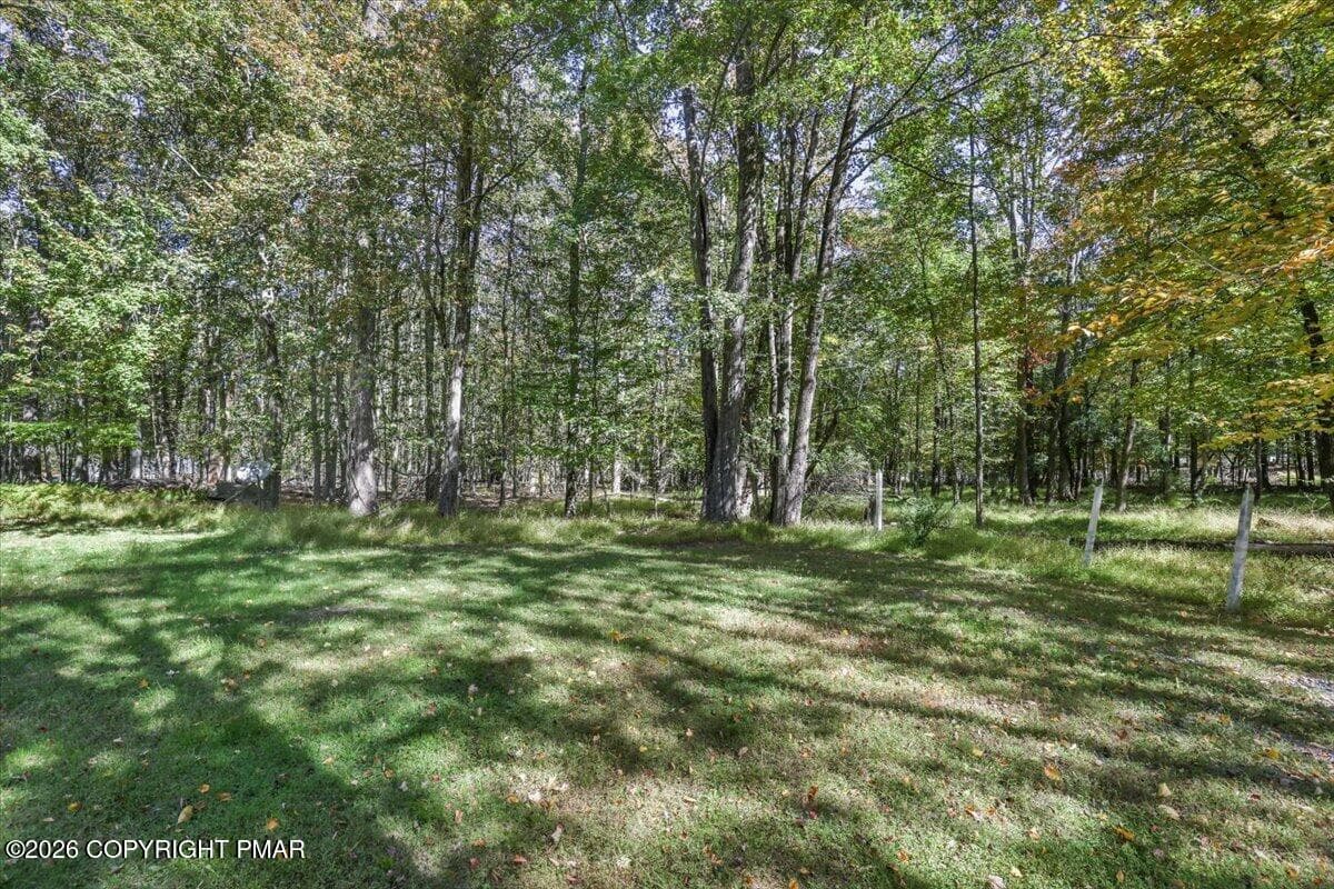 21-Backyard - 86 Windsor Road, Hawley, PA 18428, Hawley