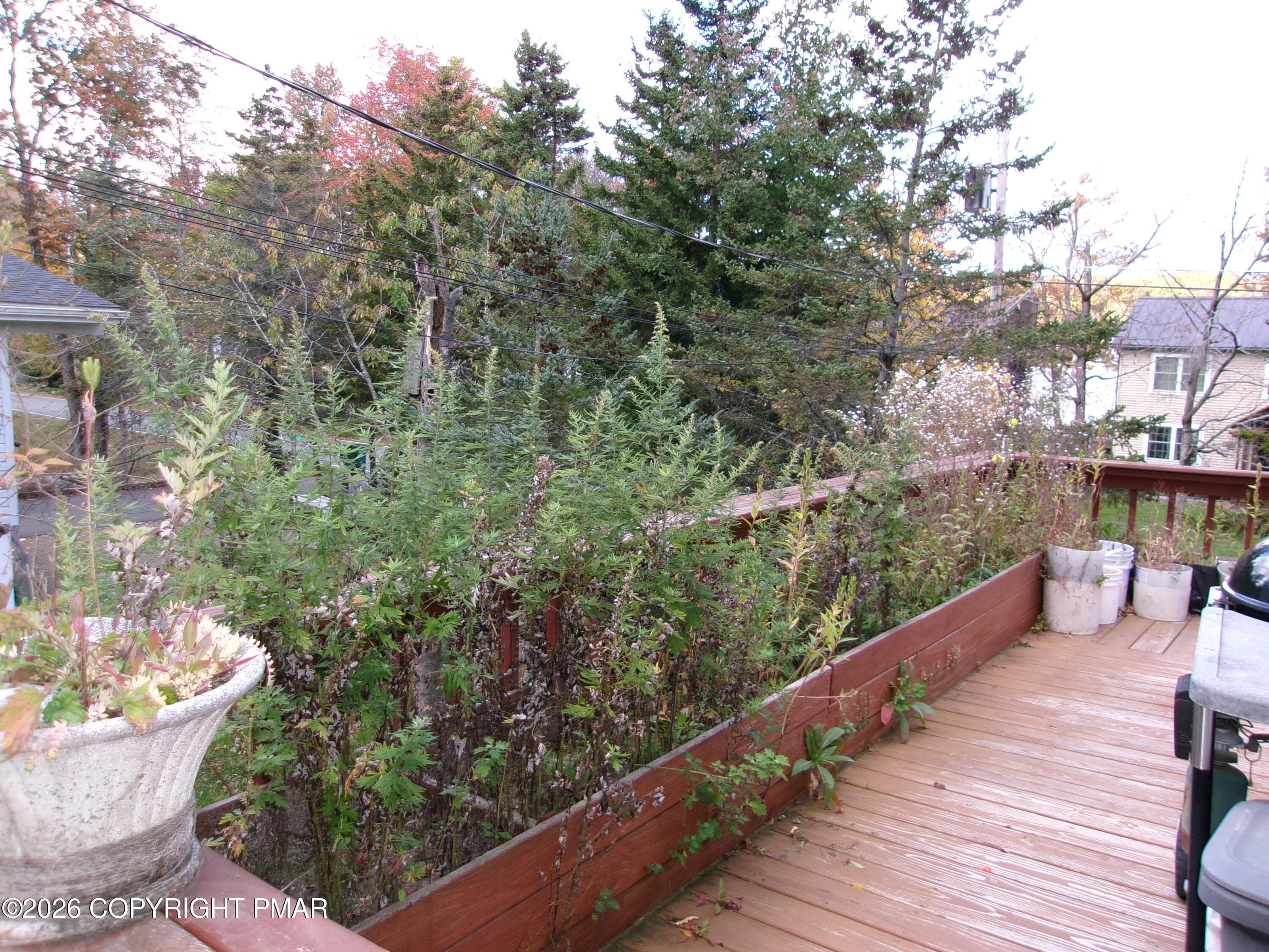 100_0345 - 1482 Waterfront Drive, Tobyhanna, PA 18466, Tobyhanna