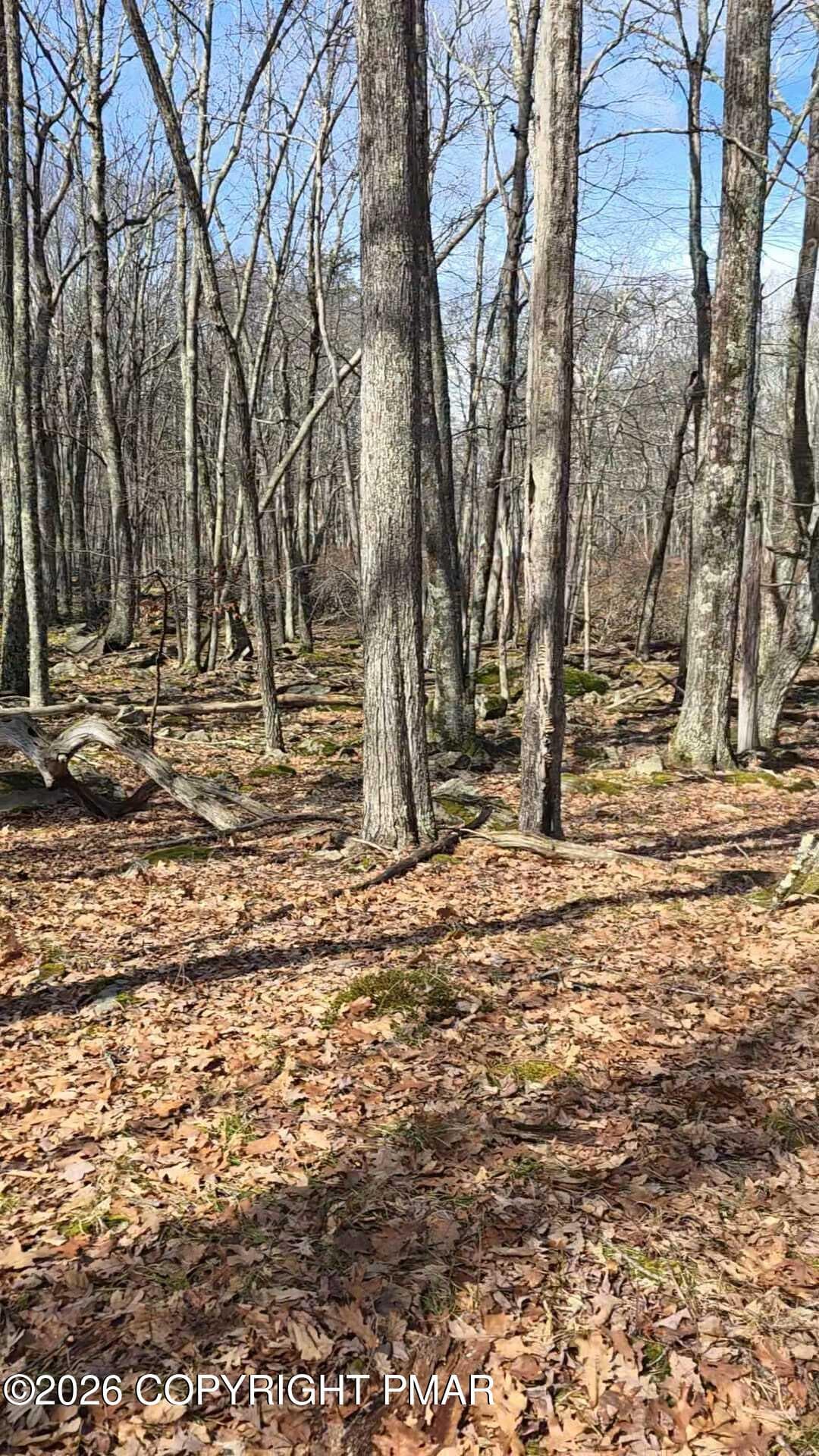 009.03-03-61-- - whitetail circle, lot 93 sec 7, Lackawaxen, PA 18435, Lackawaxen