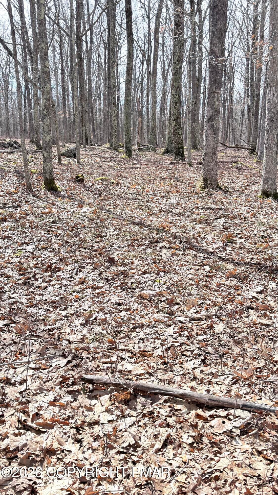 IMG_5517 - whitetail circle, lot 93 sec 7, Lackawaxen, PA 18435, Lackawaxen