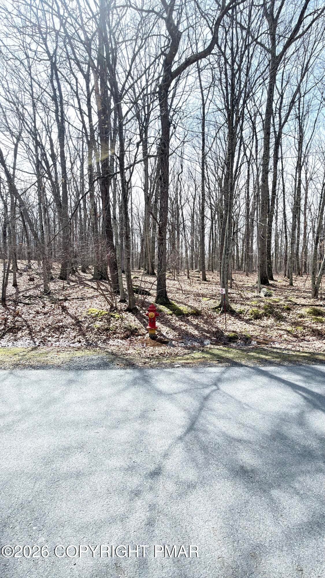 IMG_5519 - whitetail circle, lot 93 sec 7, Lackawaxen, PA 18435, Lackawaxen