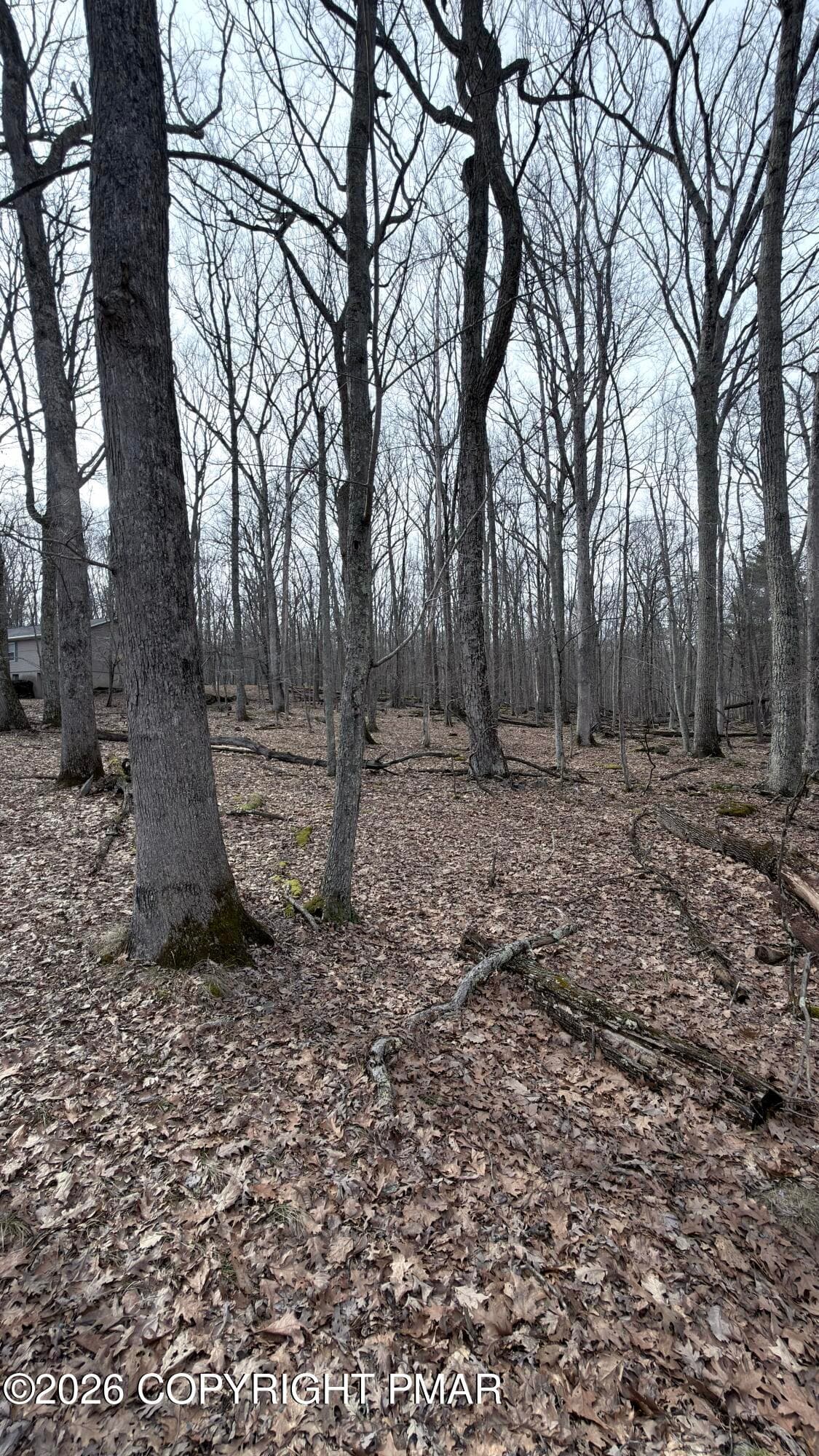 IMG_5624 - Oakridge Circle, lot 37 sec 9, Lackawaxen, PA 18435, Lackawaxen