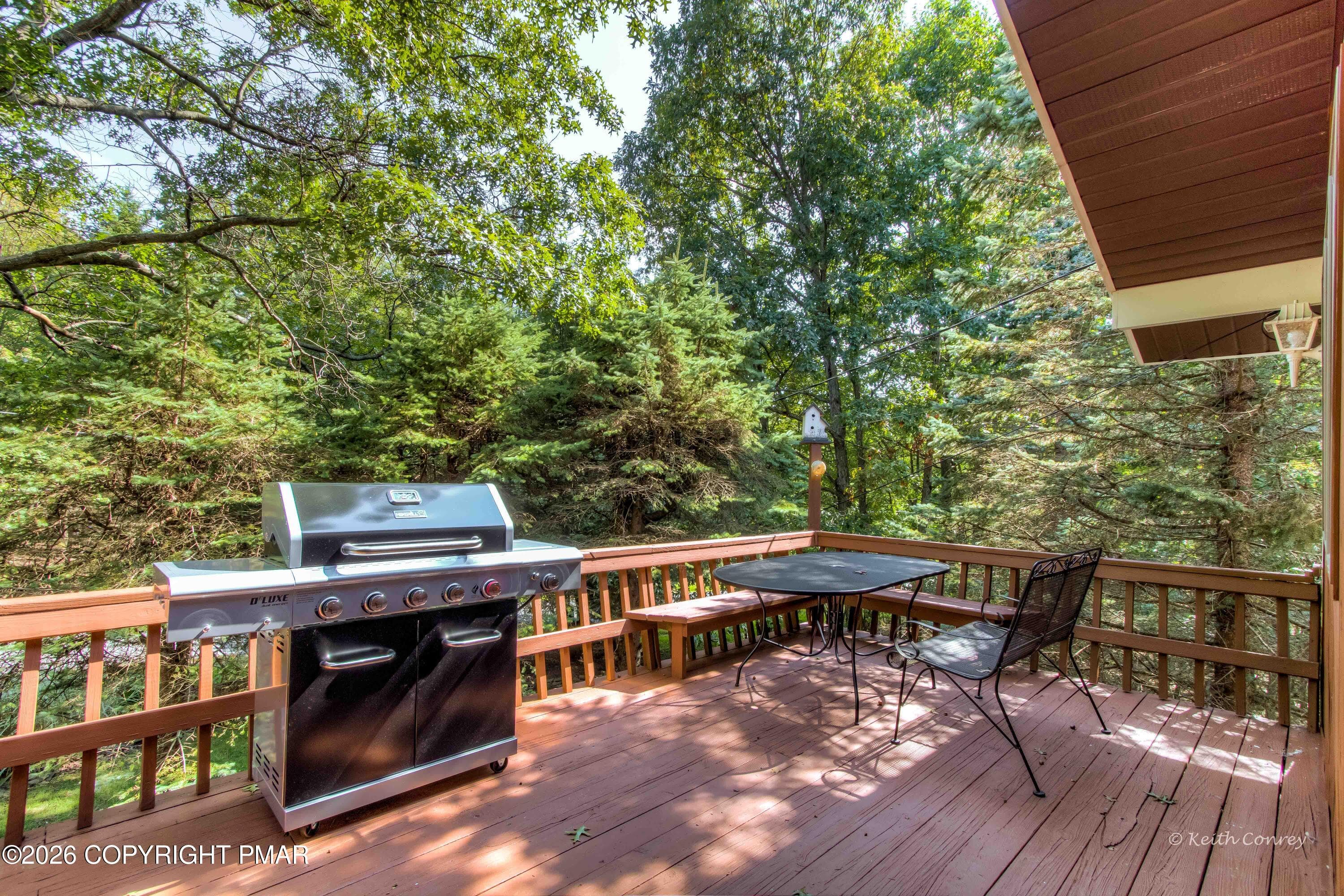 203 Thornberry Lane (Web)-40 - 203 Thornberry Lane, Blakeslee, PA 18610, Blakeslee