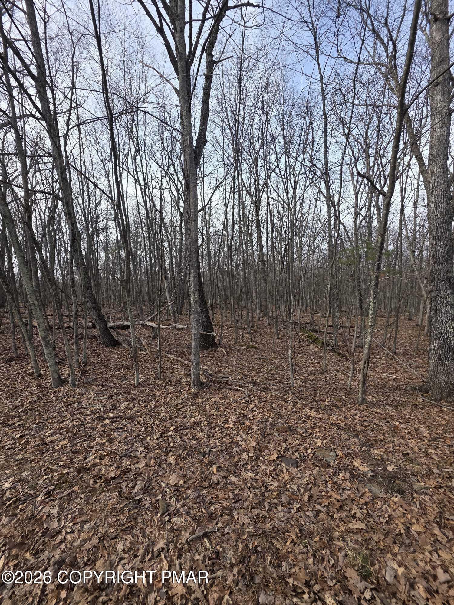 013.03-01-76 - lot 51 sec9, Lackawaxen, PA 18435, Lackawaxen