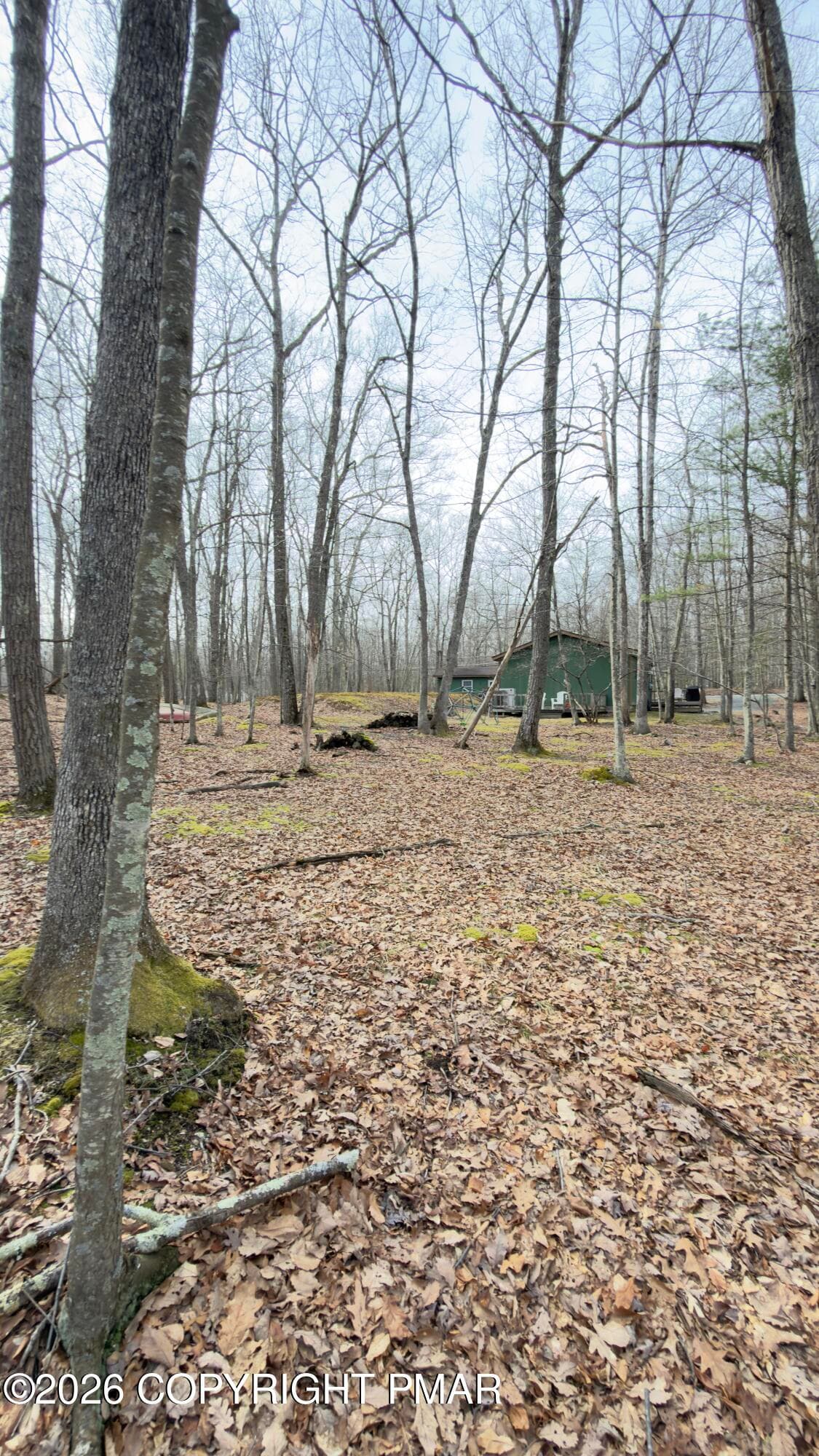 IMG_5652 - lot 51 sec9, Lackawaxen, PA 18435, Lackawaxen