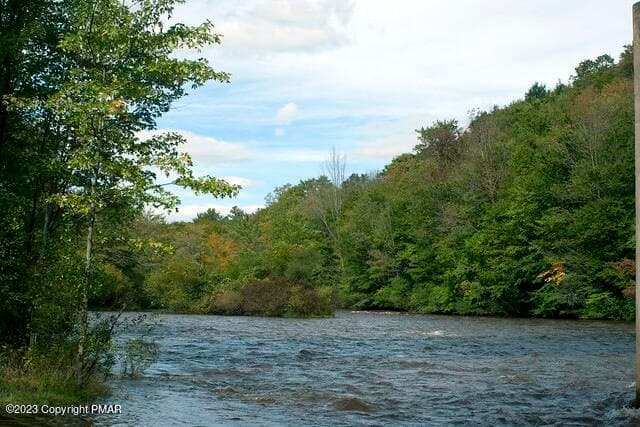 620C7079-B444-48B0-8869-5E7147CA8FB1 - 110 Riverfront Terrace, Pocono Lake, PA 18347