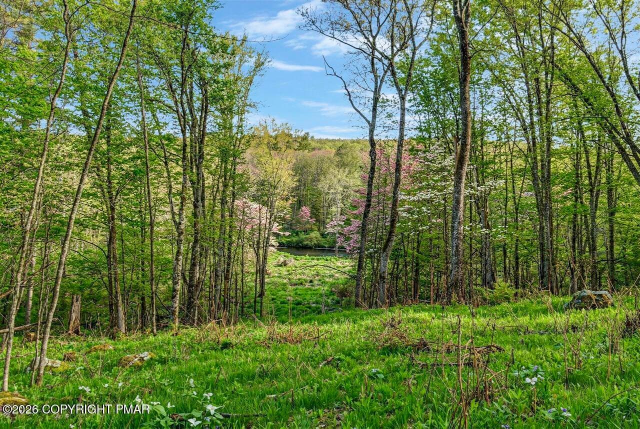 110 Riverfront Ter 88 Large - 110 Riverfront Terrace, Pocono Lake, PA 18347