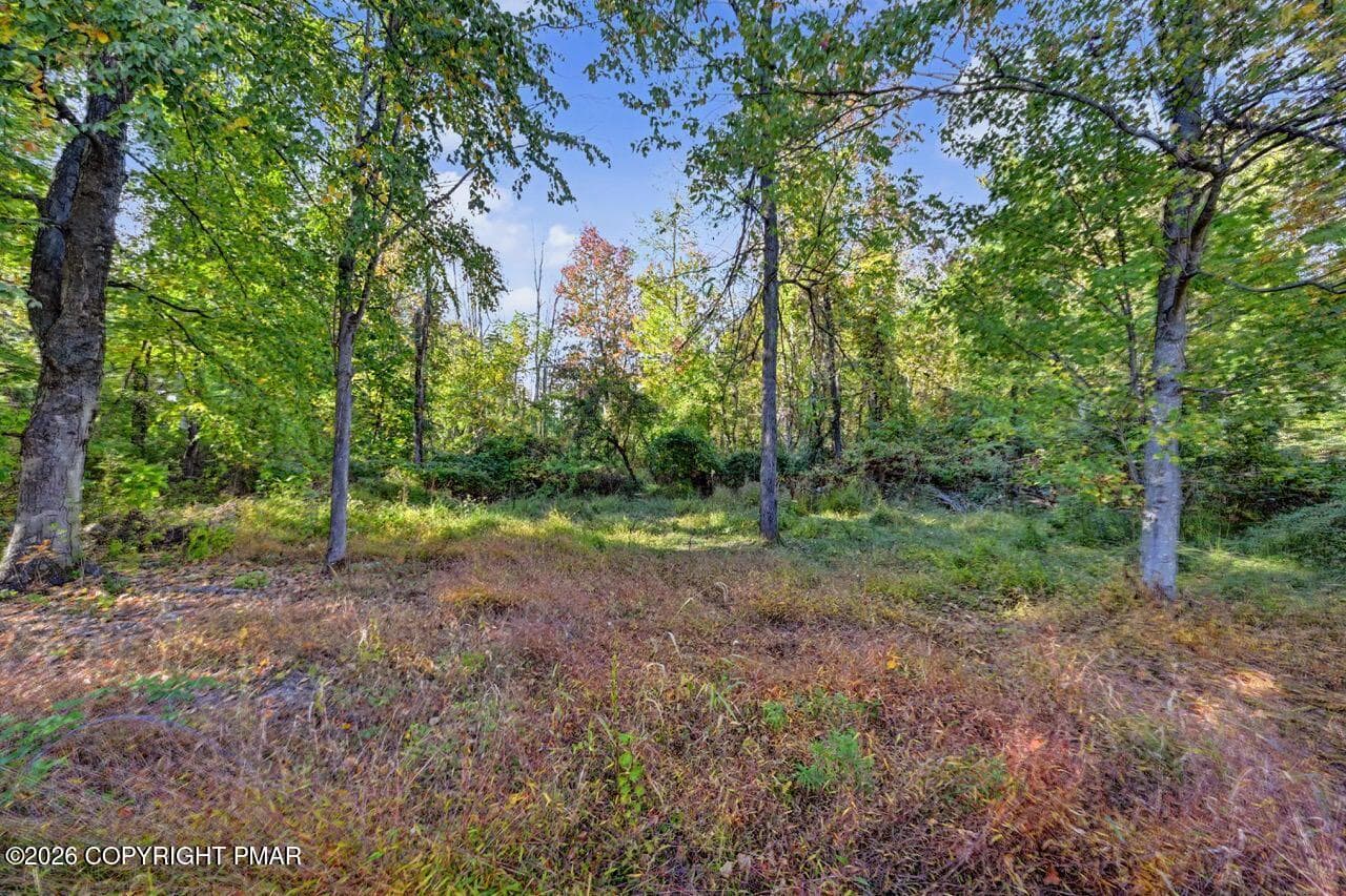 Wooded View In The Back - 2367 Route 209, Sciota, PA 18354, Sciota