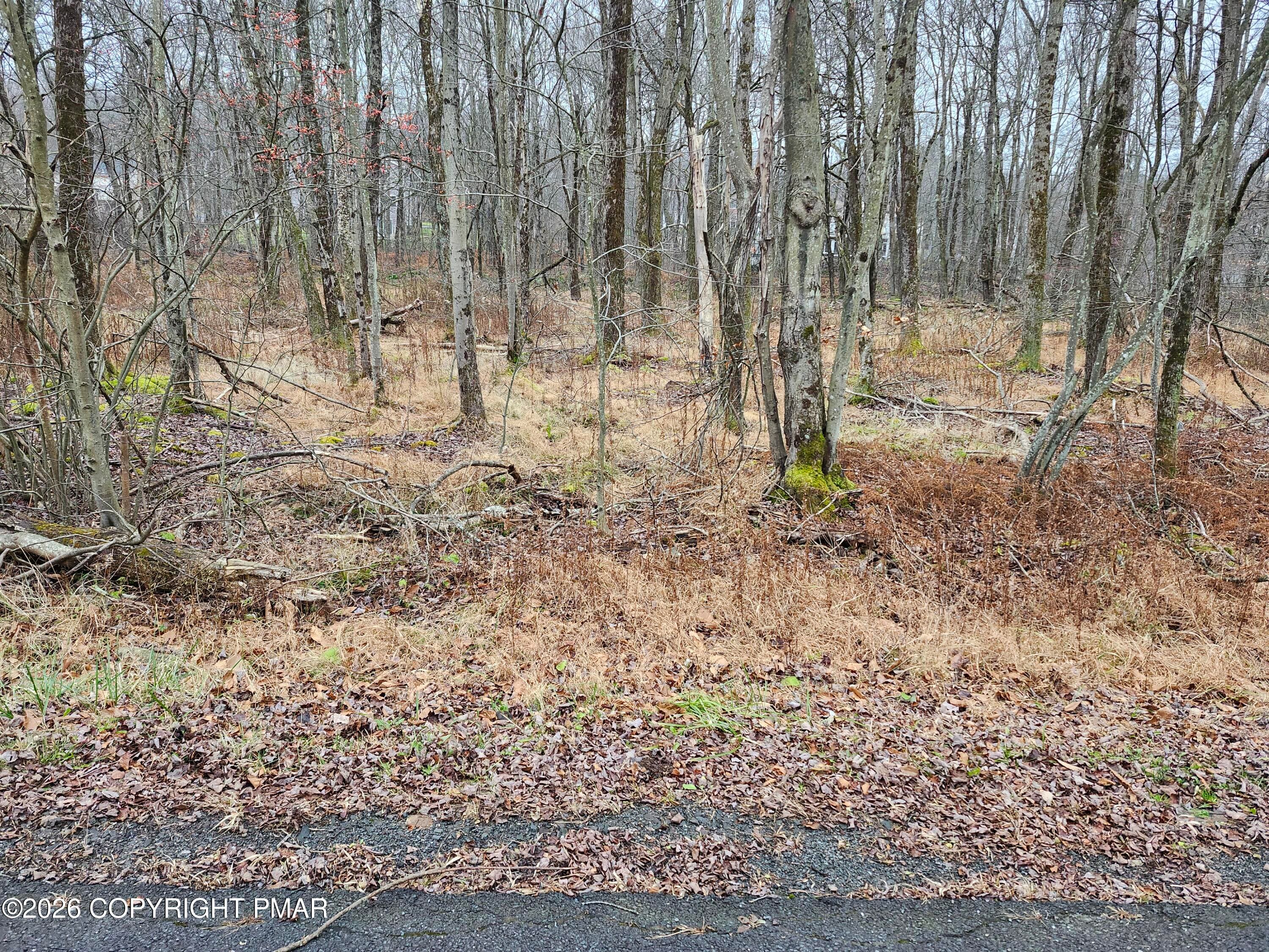 20251121_152901 - Oak View Lane, Tobyhanna, PA 18466, Tobyhanna