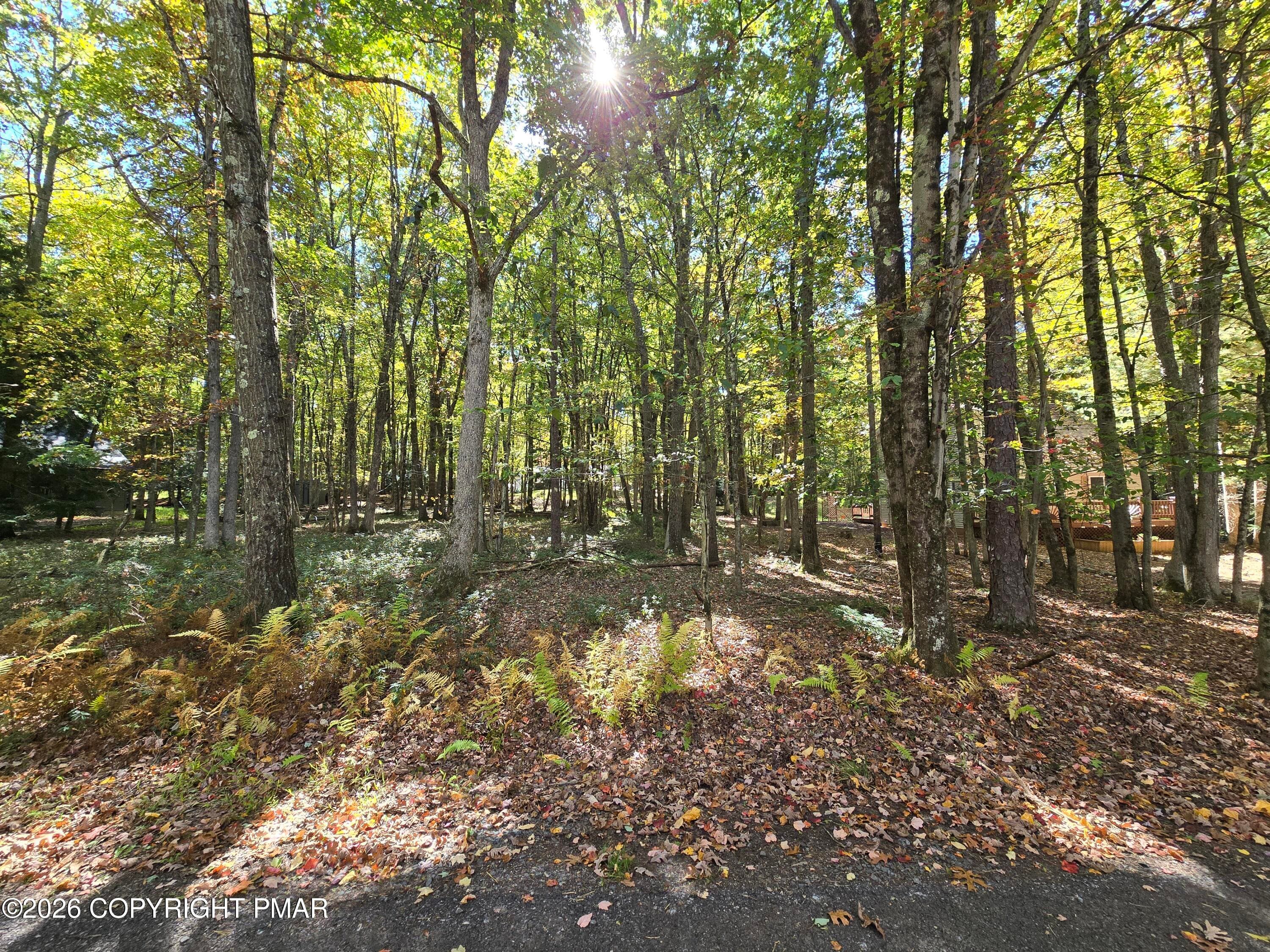 Extra lot - 128 Kipling Lane, Albrightsville, PA 18210, Albrightsville