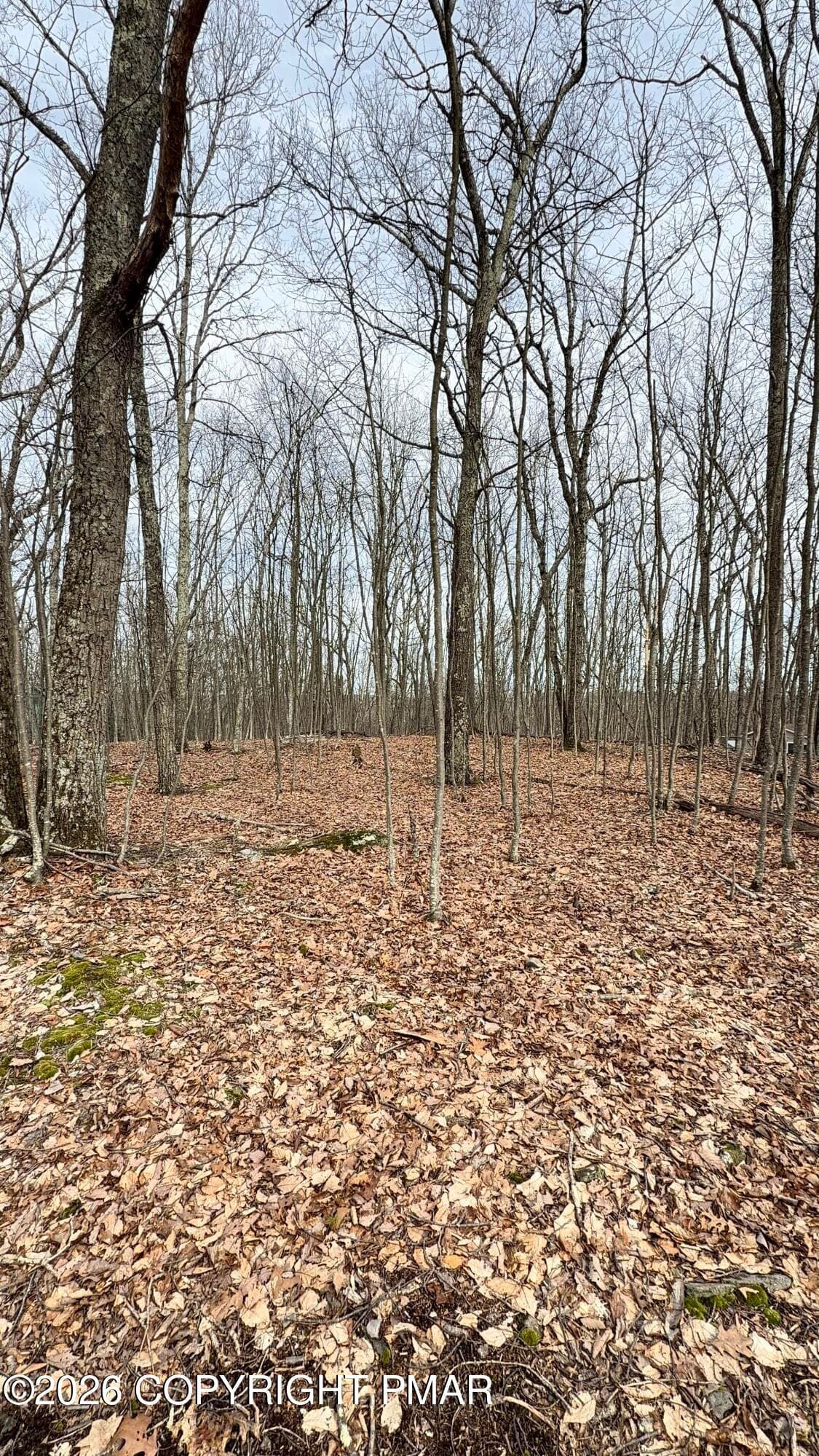IMG_5618 - lot 91 sec 8, lot 91 sec 8, Lackawaxen, PA 18435, Lackawaxen