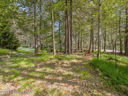 805433004464_512_384_FkfdAqqyTxxrHzvm - 5 Trail Ridge Road, Albrightsville, PA 18210, Albrightsville