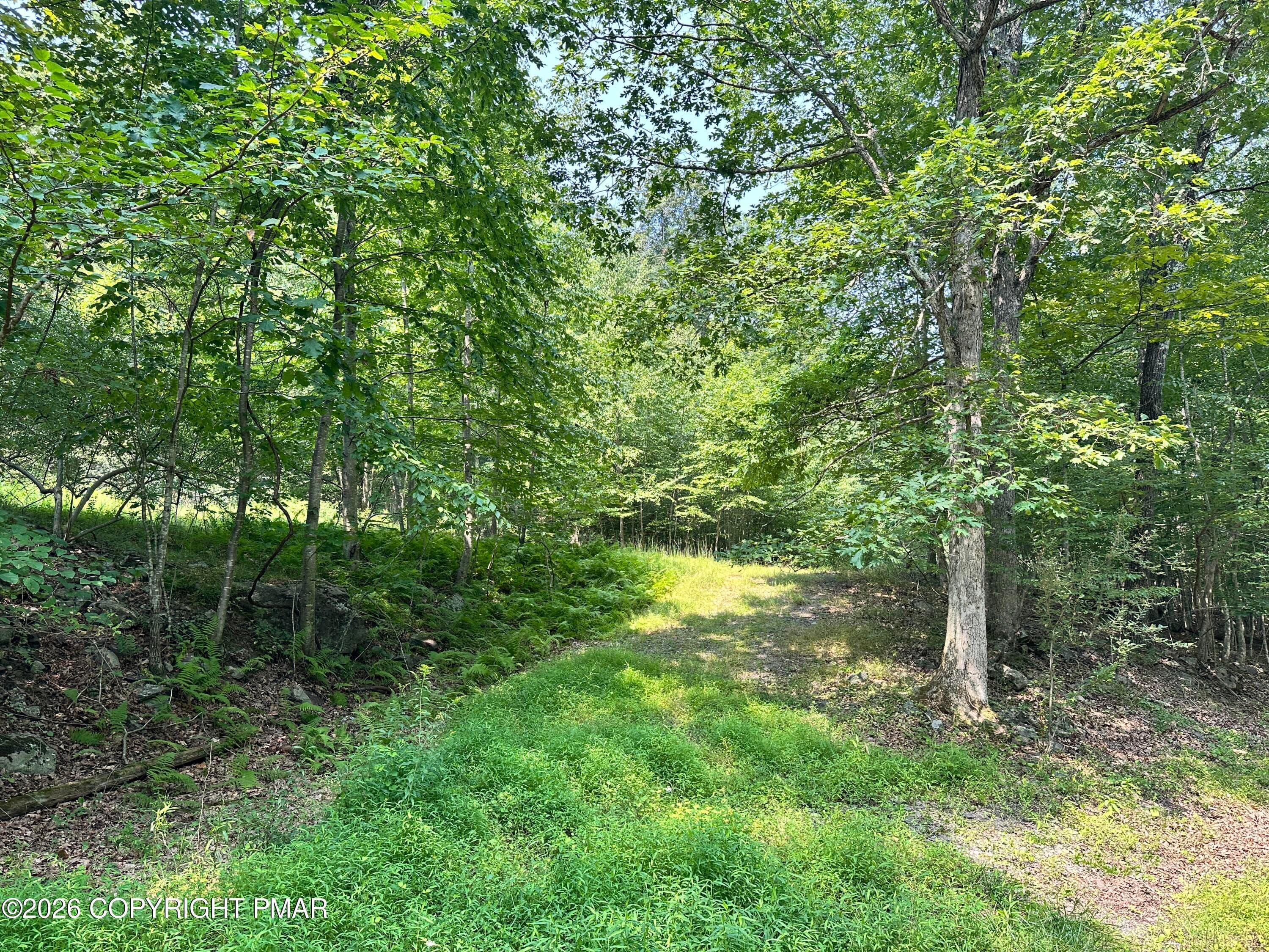 IMG_5897 - Private Dr 2C Drive, Henryville, PA 18332, Henryville