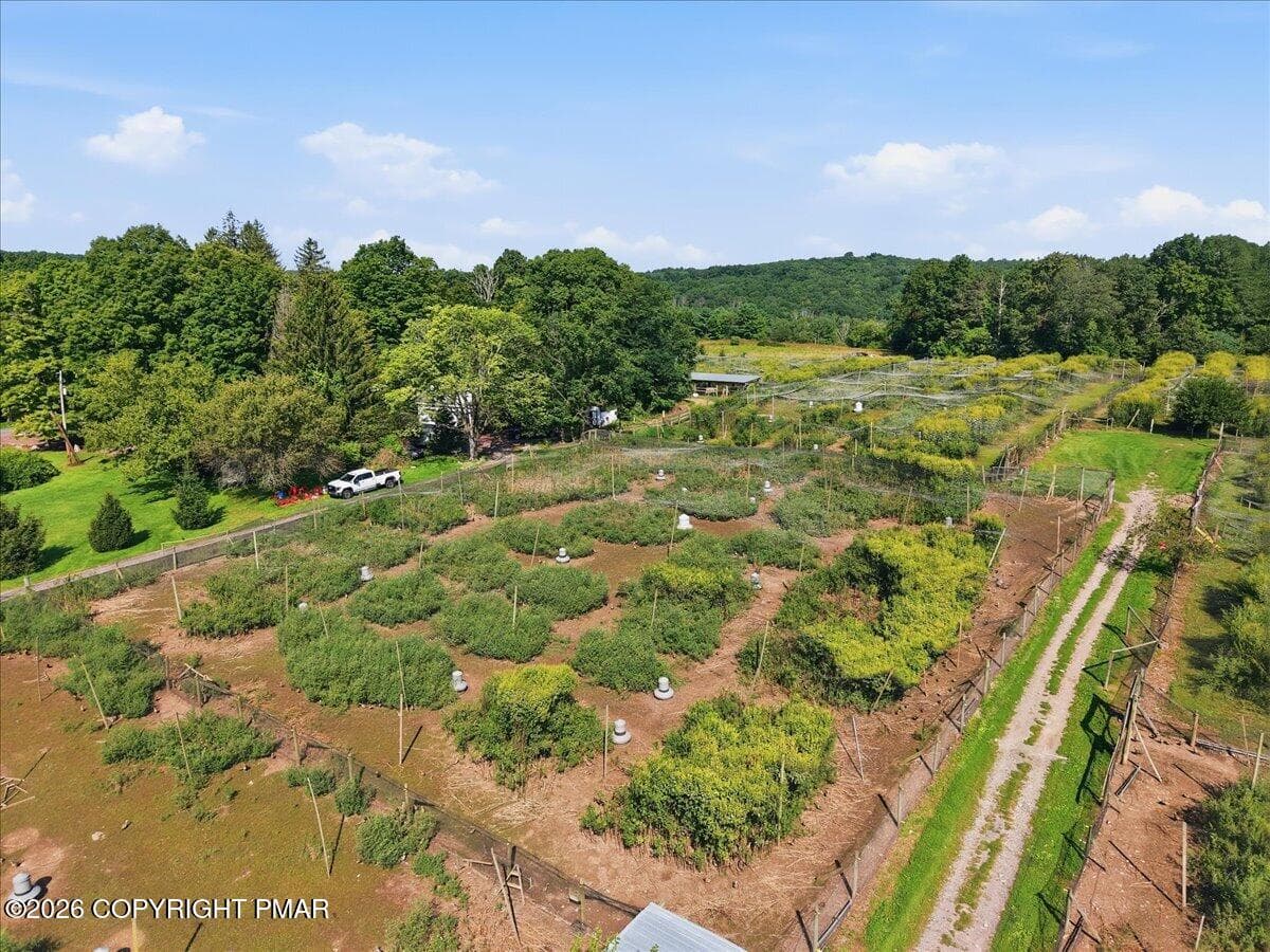 bird enclosure - 1103 Cherry Lane Road, East Stroudsburg, PA 18301, East Stroudsburg