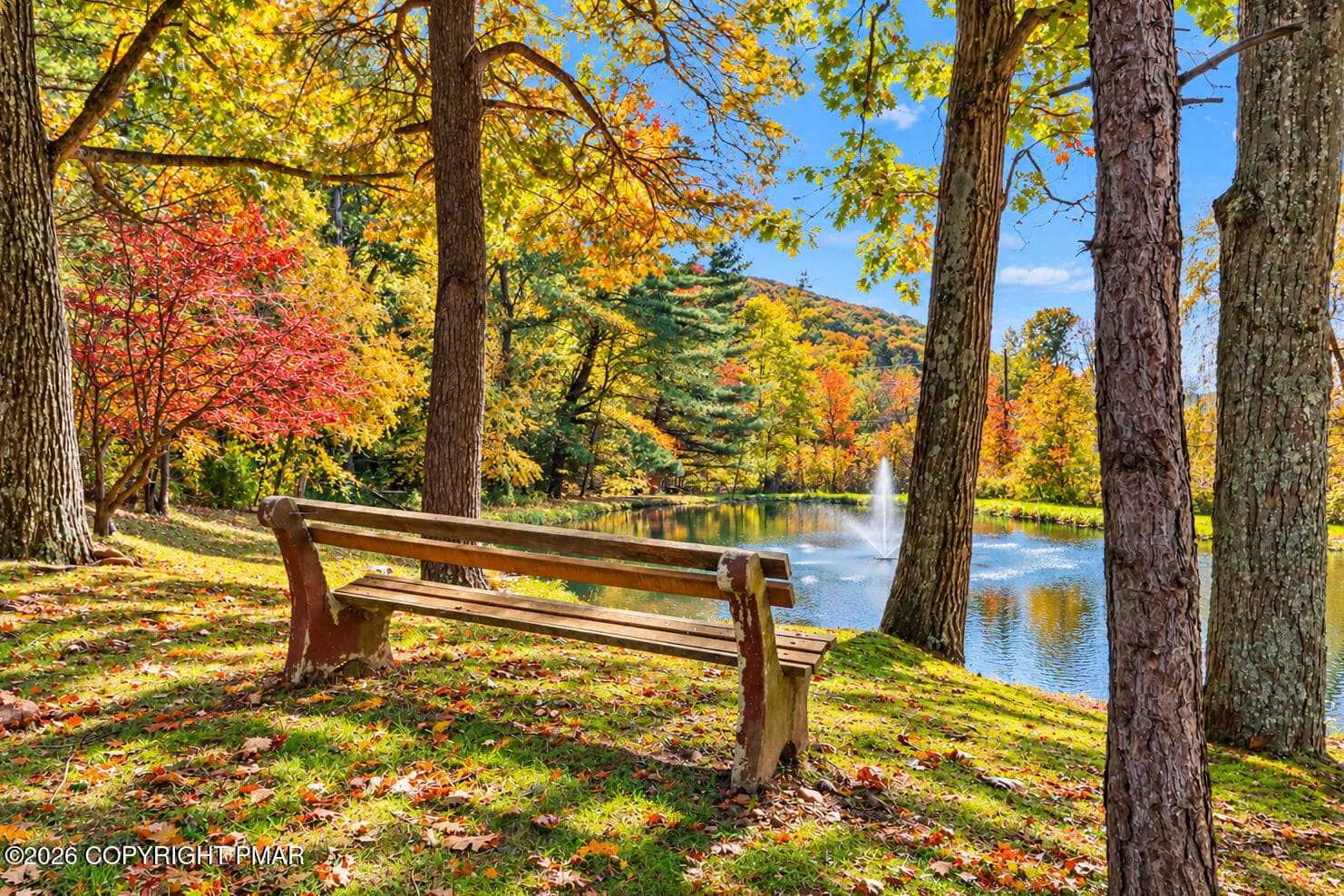 Pond 2 - 364 Freedom Road, Drums, PA 18222, Drums