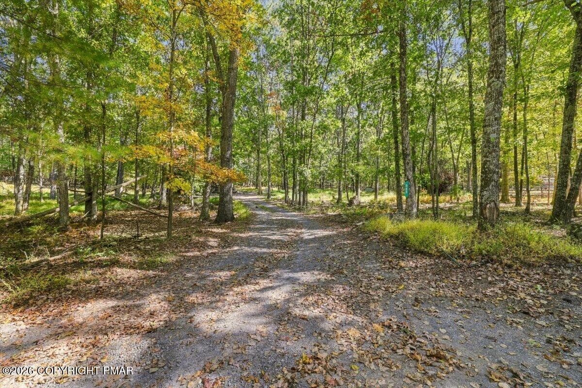 Driveway - 293 Canal Road, East Stroudsburg, PA 18302, East Stroudsburg