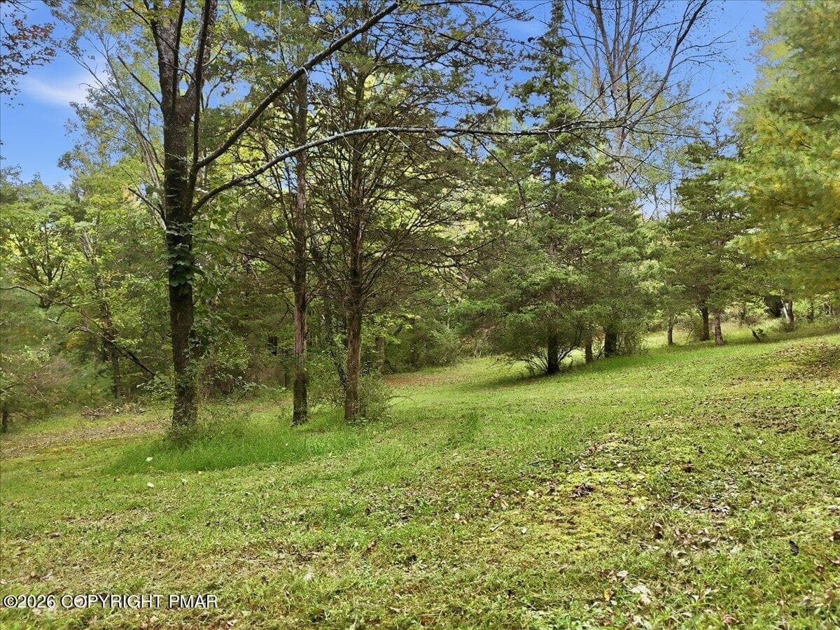 Yard - 441 Emery Road, Dingmans Ferry, PA 18328, Dingmans Ferry