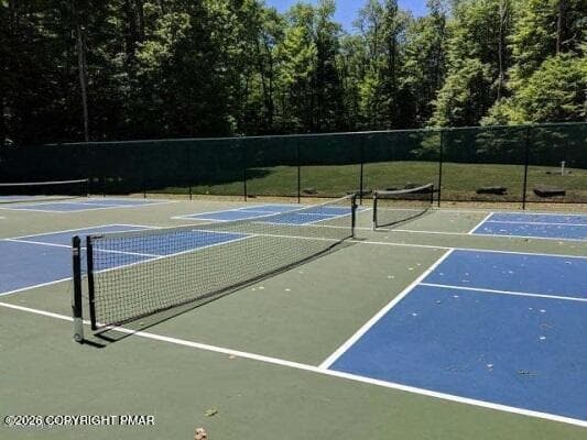 TENNIS/PICKLEBALL COURTS - 57 Lyman Lane 57, Clifton Township, PA 18424