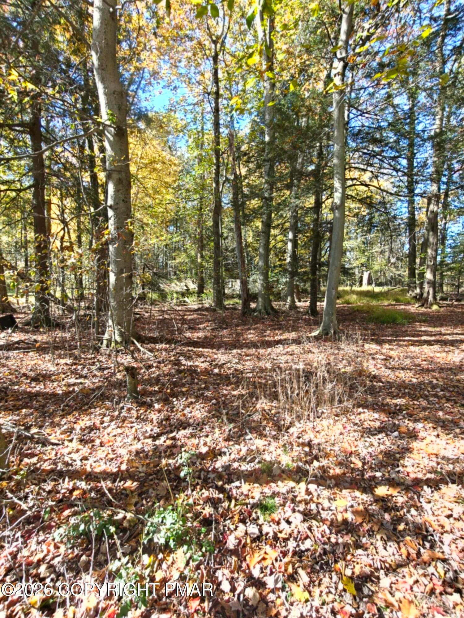 IMG20261015112204 - 6149 Victoria Drive, Tobyhanna, PA 18466