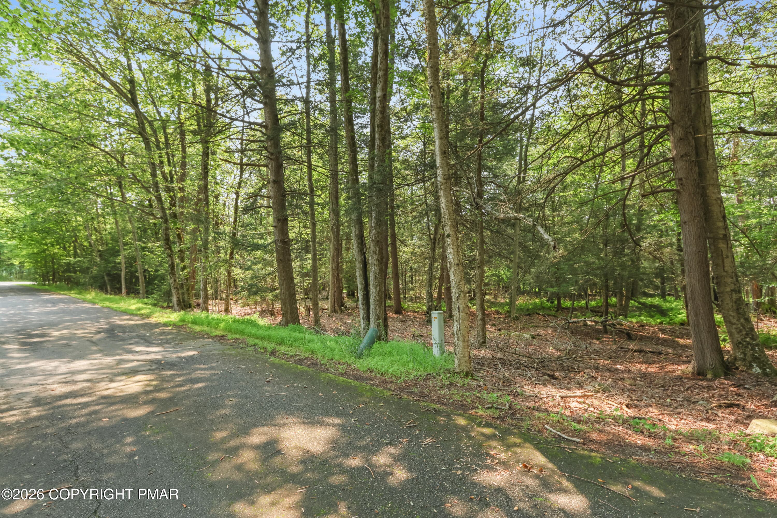 095A8280 - 317 Arthur Circle, Tobyhanna, PA 18466, Tobyhanna