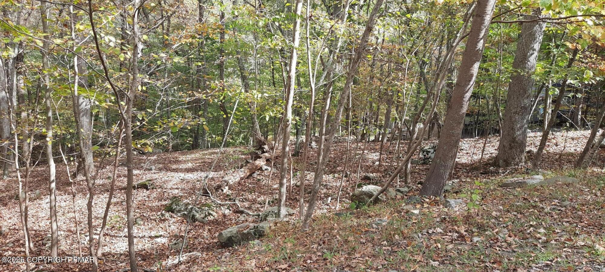 Lot 8 Sec 24 Decker Road, Bushkill, PA 18324