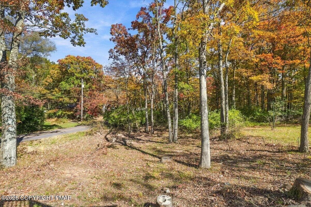 Back Yard - 19 Oak Street, Mount Pocono, PA 18344