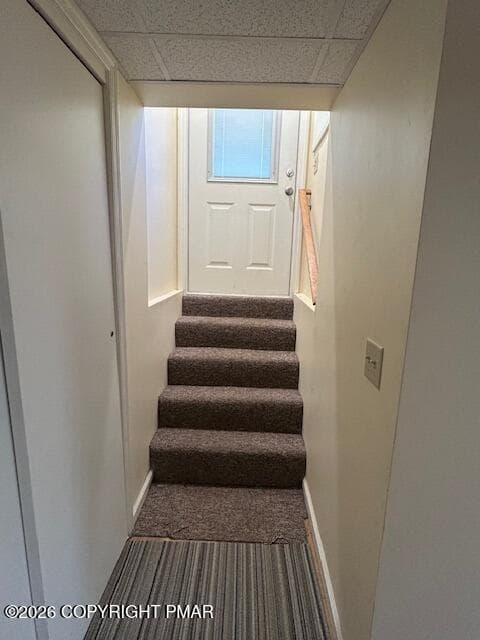 1003 const basment stairs - 1003 Constitutional Drive, Stroudsburg, PA 18360