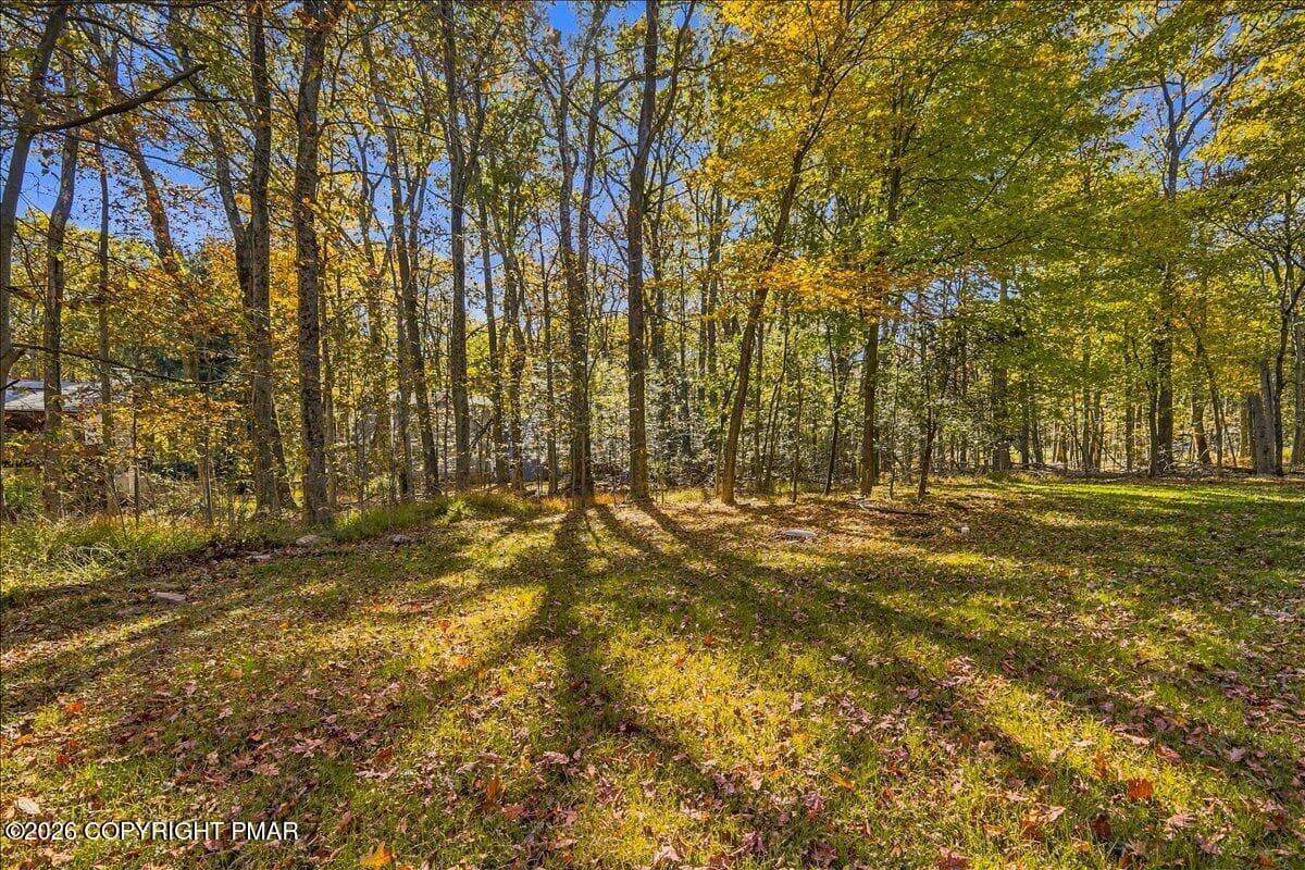 Backyard - 2106 Beech Lane, Tobyhanna, PA 18466