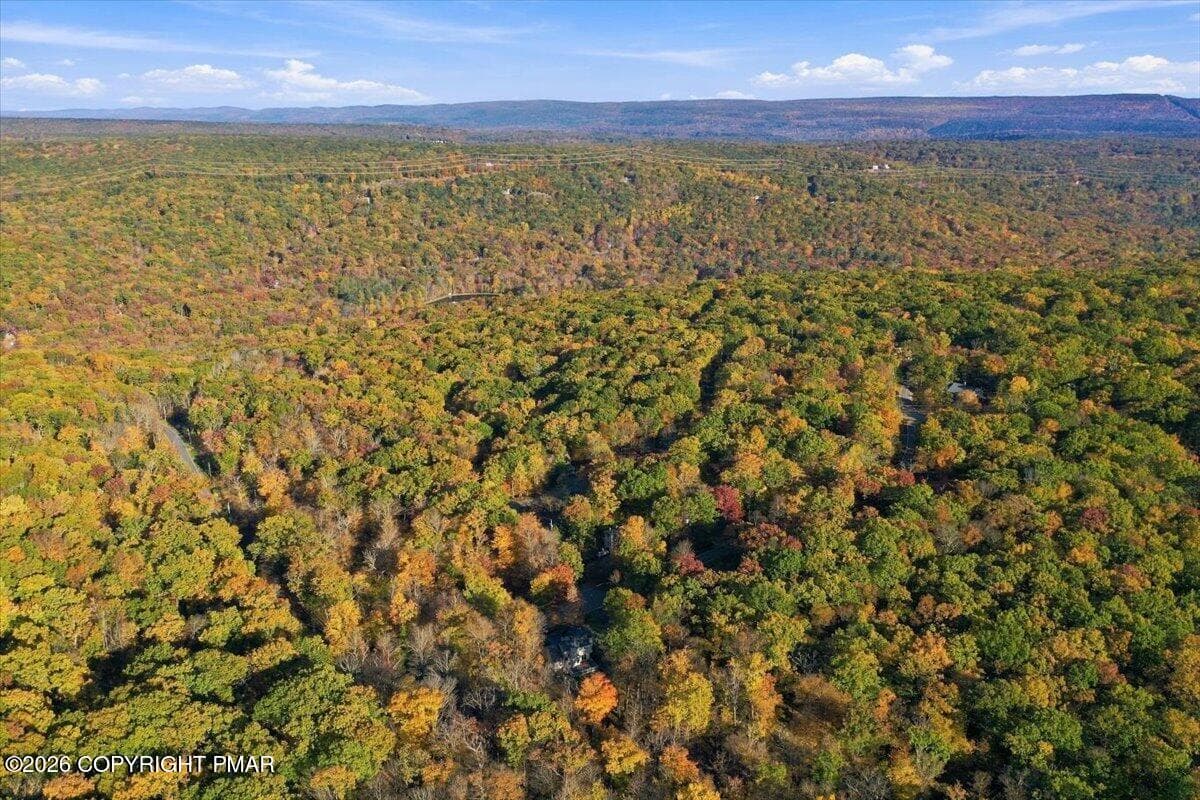097-113_DJI_0880 - 2118 Scarborough Way, Bushkill, PA 18324