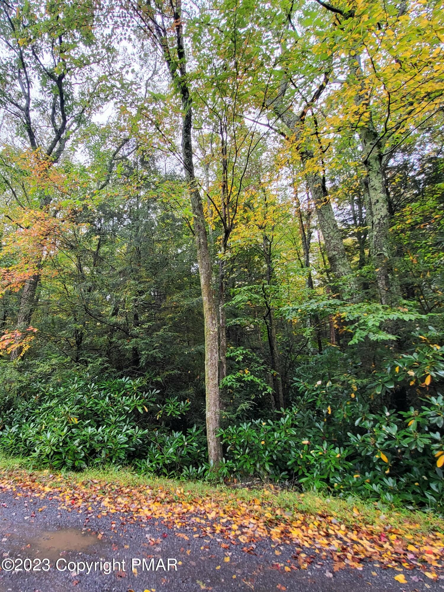 Sunrise Lane, Albrightsville, PA 18210