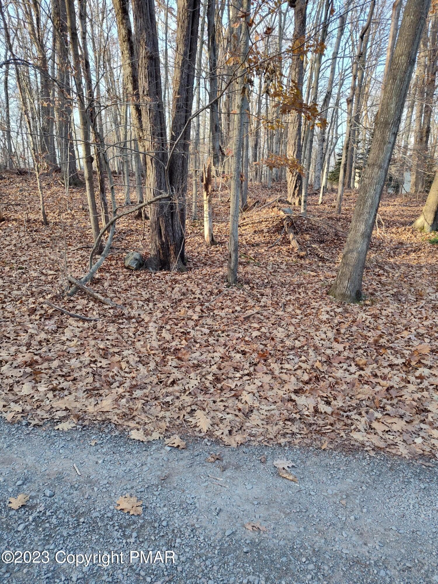 PICTURE OF LOT - 14-21-6 OMAHA Trail, Pocono Lake, PA 18347