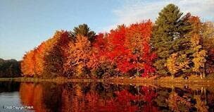 FALL LAKEFRONT - 14-21-6 OMAHA Trail, Pocono Lake, PA 18347