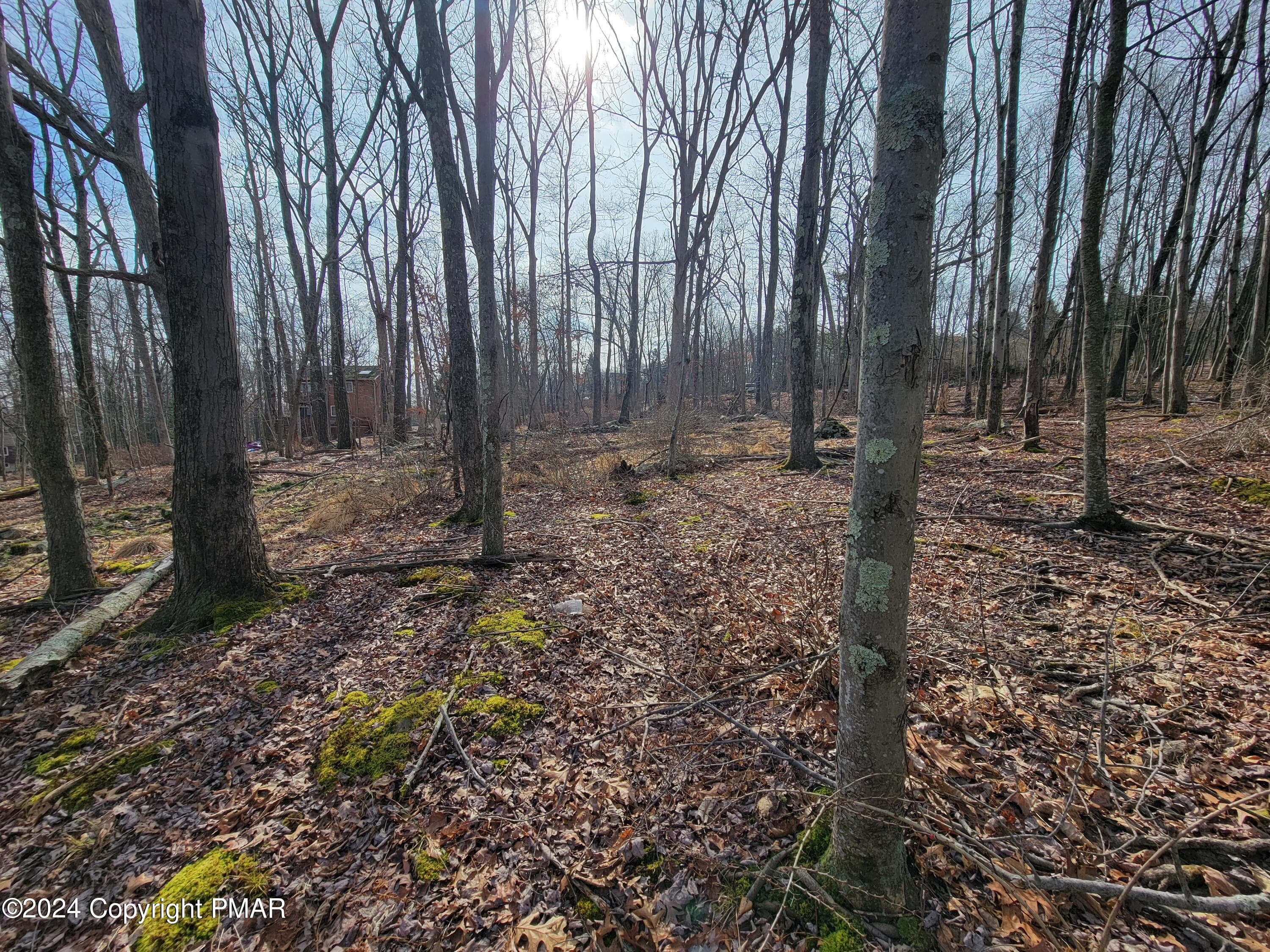 20240212_114051 - 103 Brent Road, Bushkill, PA 18324