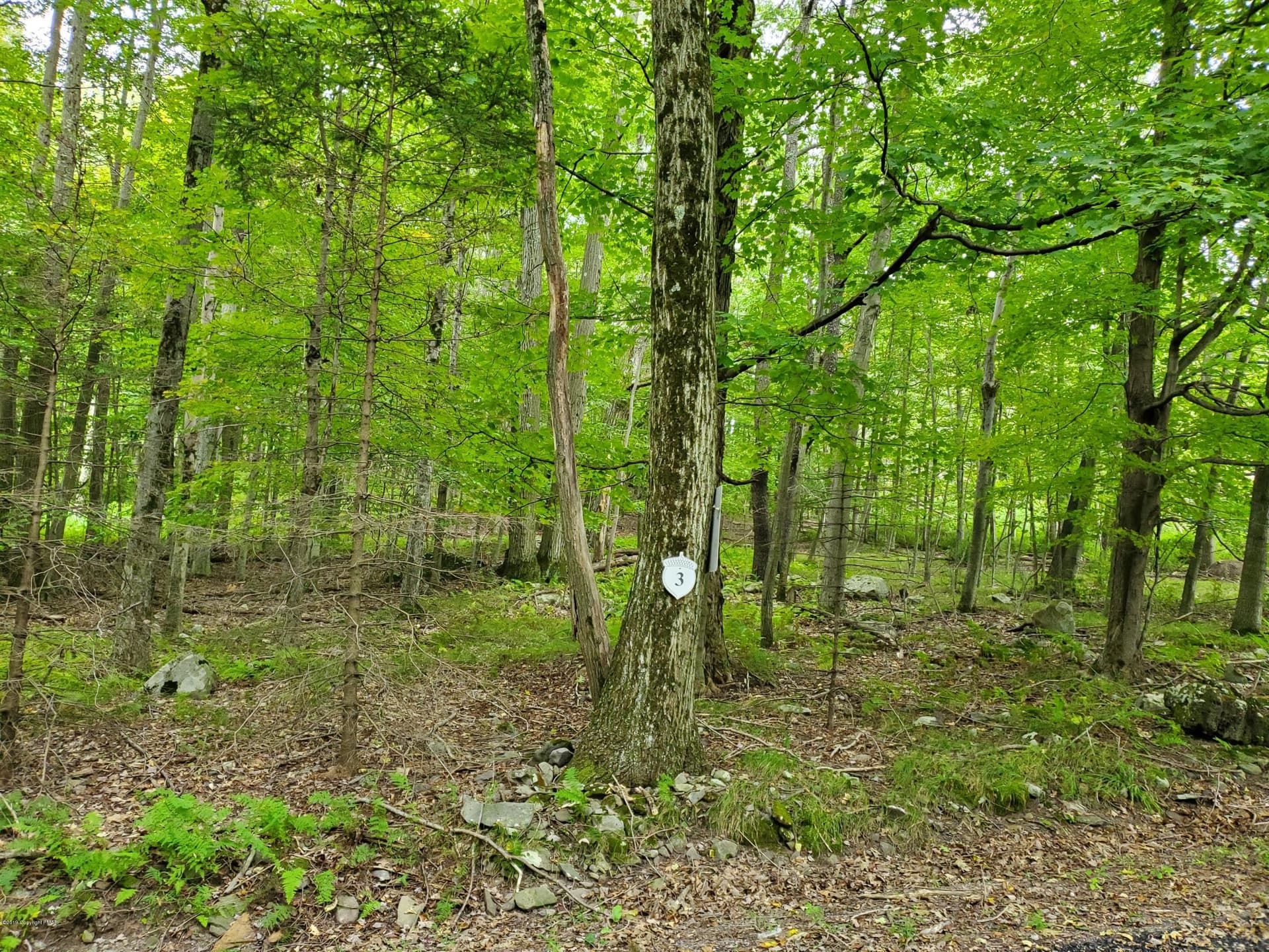 3 TALL OAK Lane, Pocono Lake, PA 18347