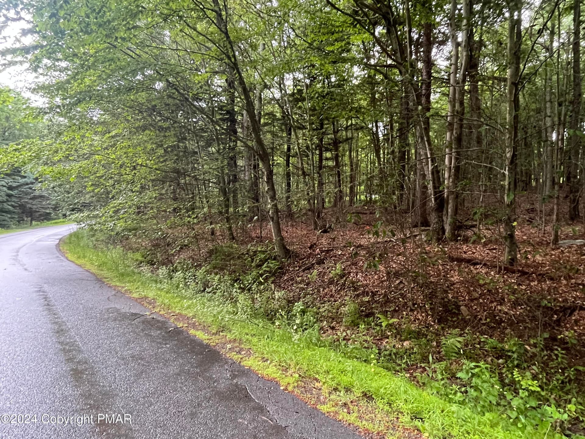 Newly Paved Road - 131 Cardinal - 2229 Drive, Clifton Township, PA 18424