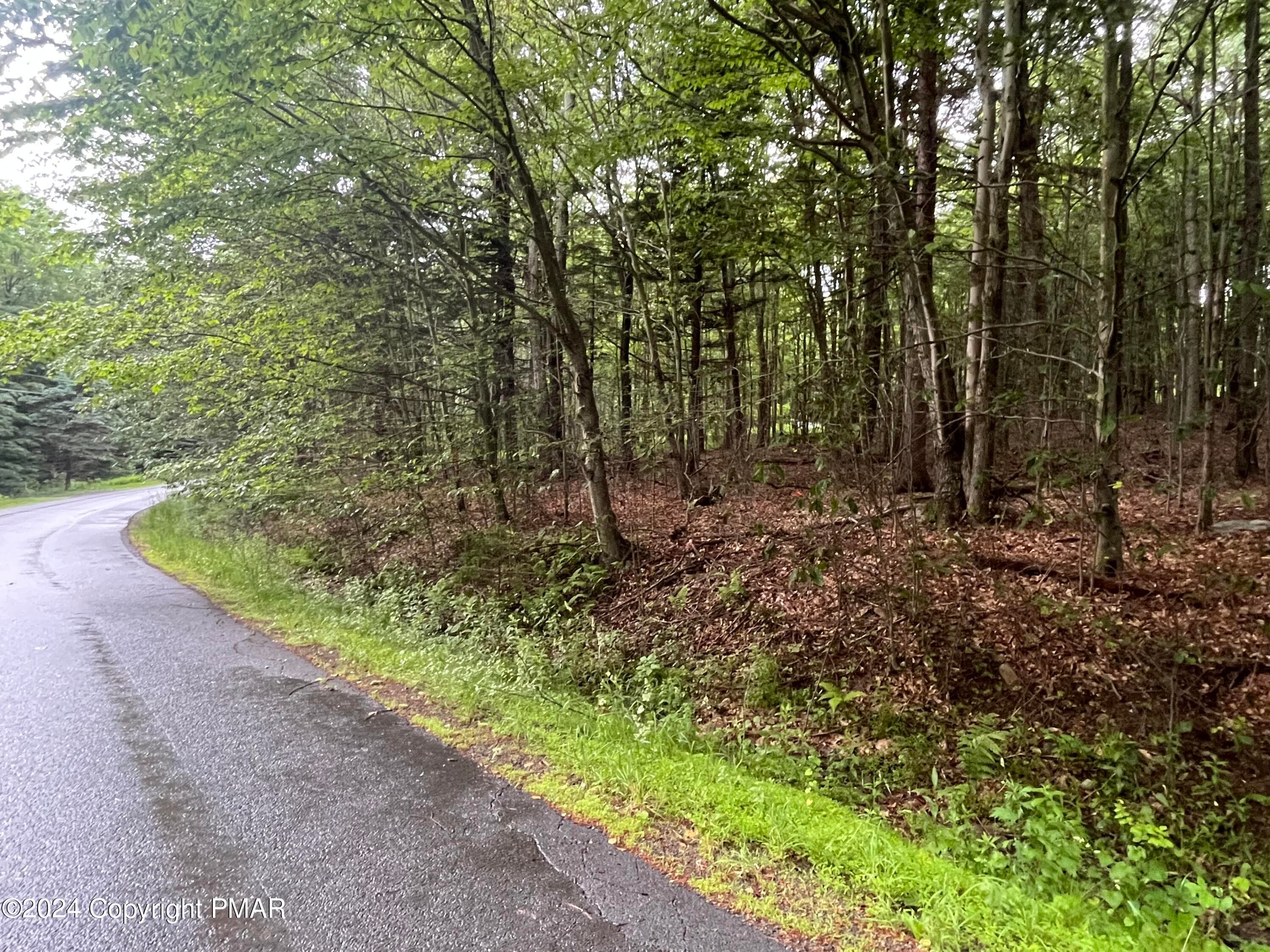 Newly Paved Road - 131 Cardinal - 2229 Drive, Clifton Township, PA 18424, Clifton Township