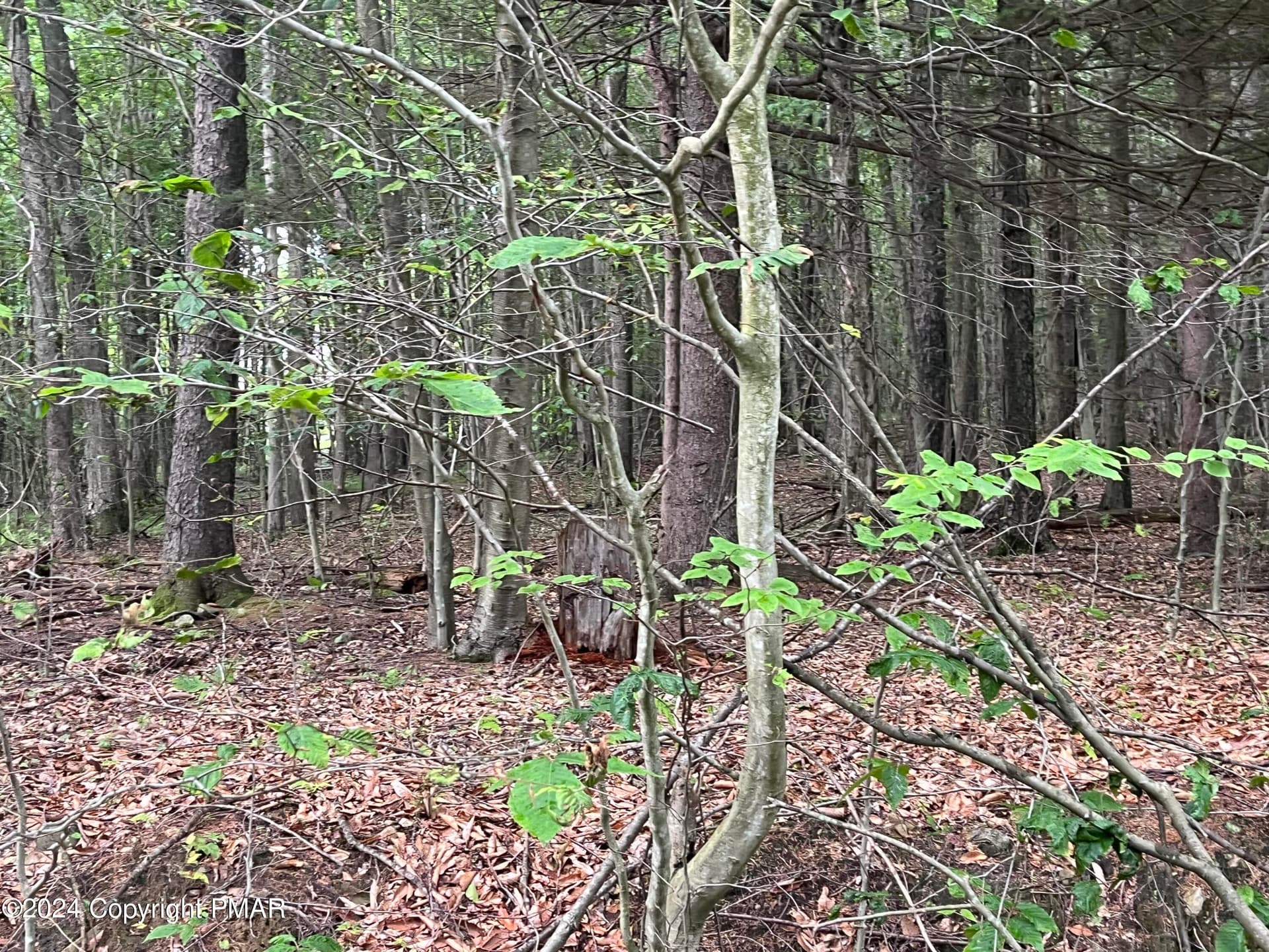 An Excavator's Dream!! - 131 Cardinal - 2229 Drive, Clifton Township, PA 18424