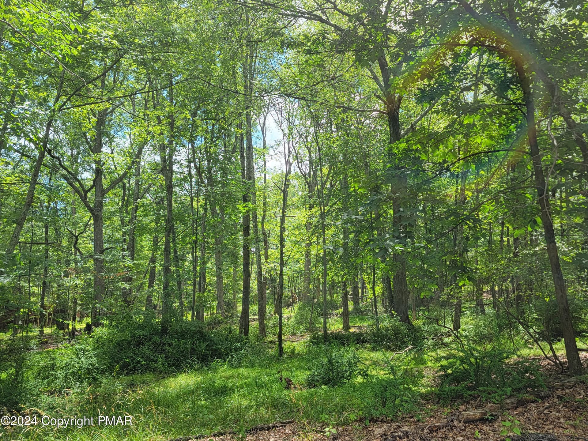 103 Brent Road, Bushkill, PA 18324