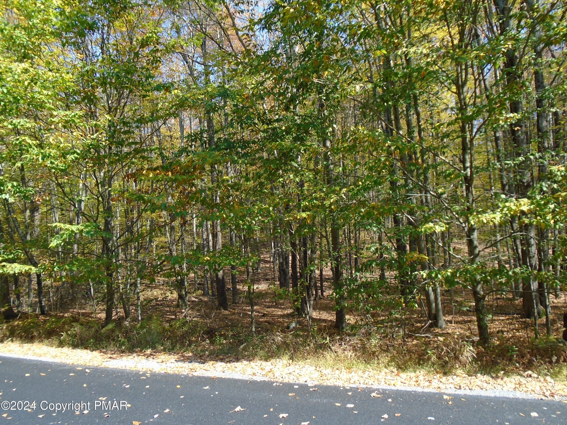 DSC00114 - RIVERSIDE Lane, Pocono Lake, PA 18347