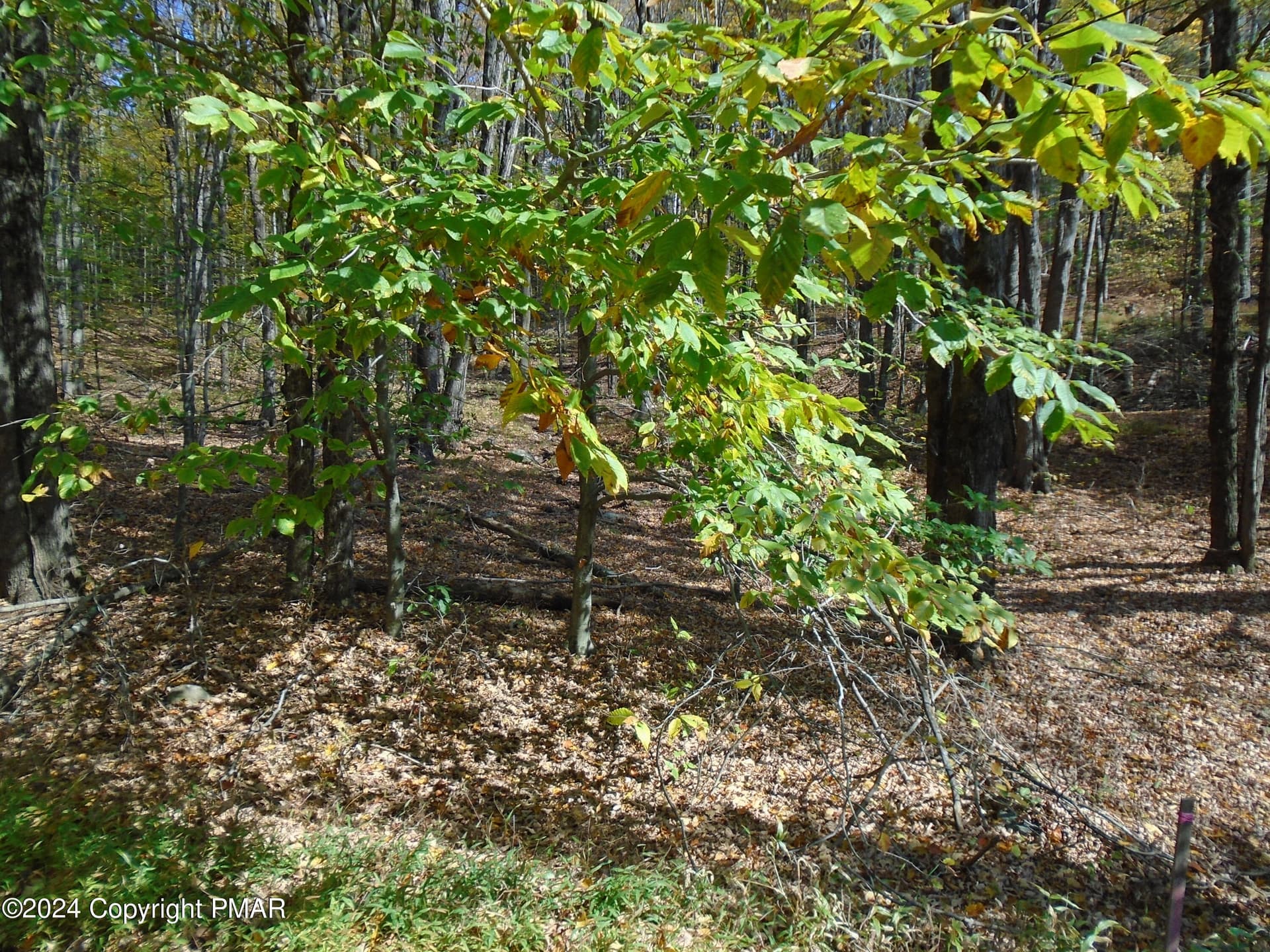 DSC00115 - RIVERSIDE Lane, Pocono Lake, PA 18347